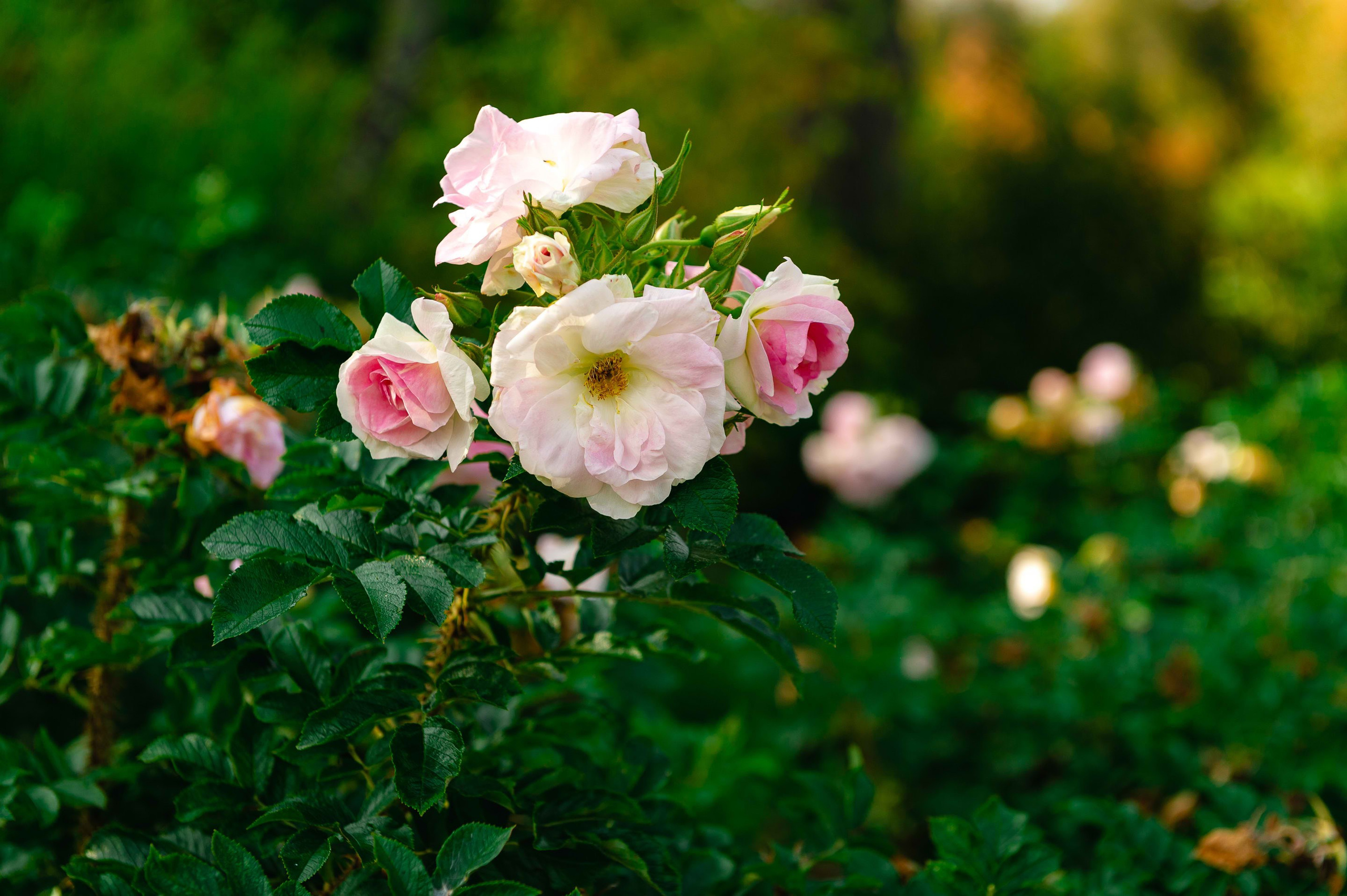 2023.09. Фотограф Алексей Алексеев