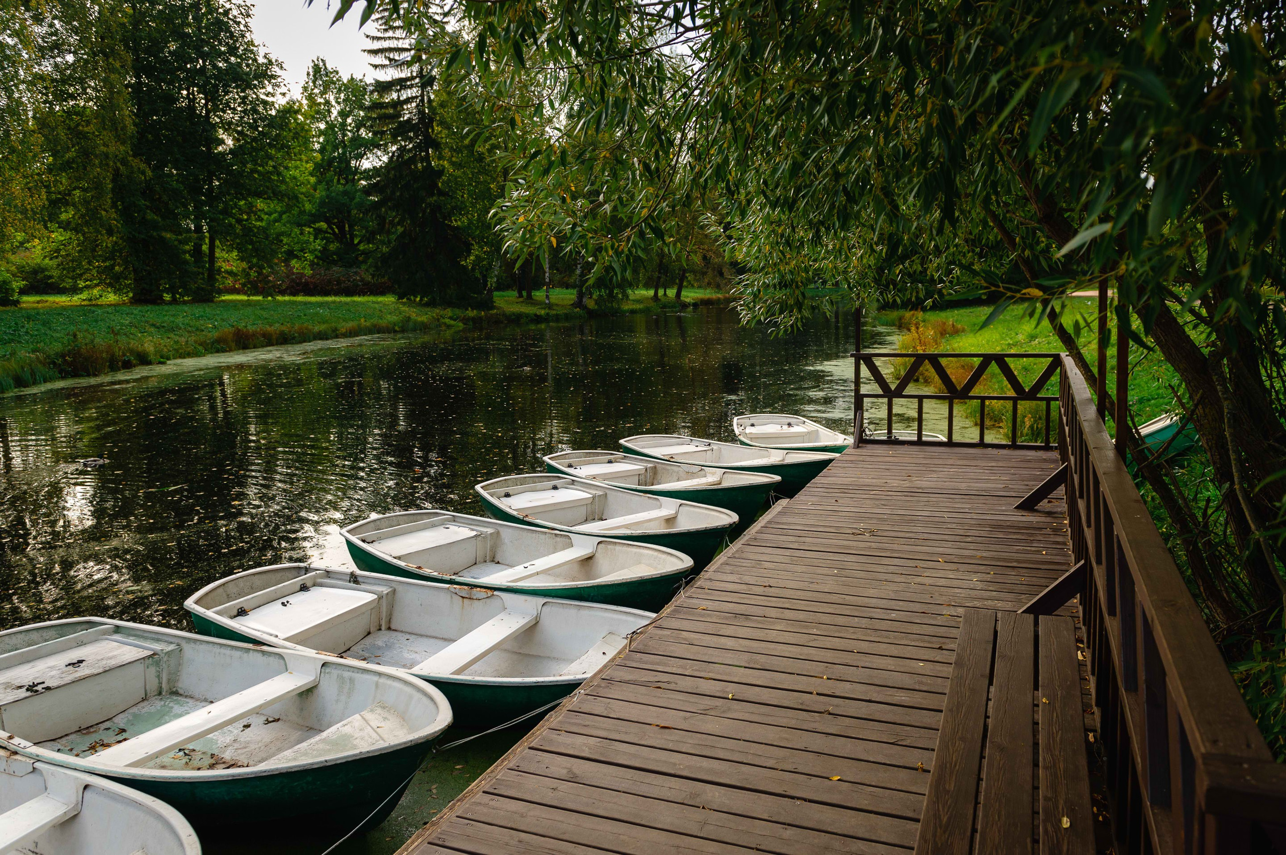2023.09. Фотограф Алексей Алексеев