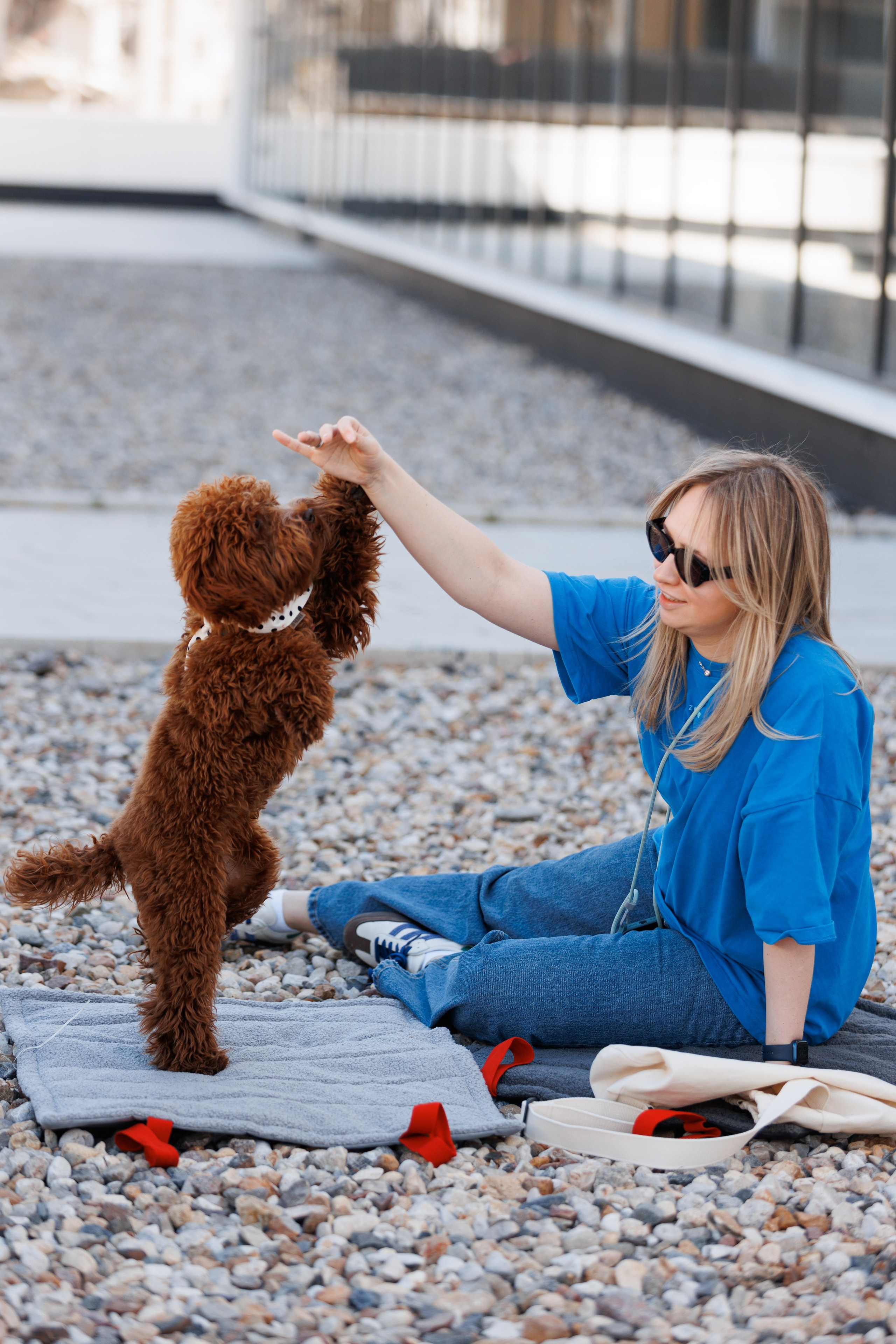 Bmbh городская. Фотограф анималист Кристина Карпова, Москва