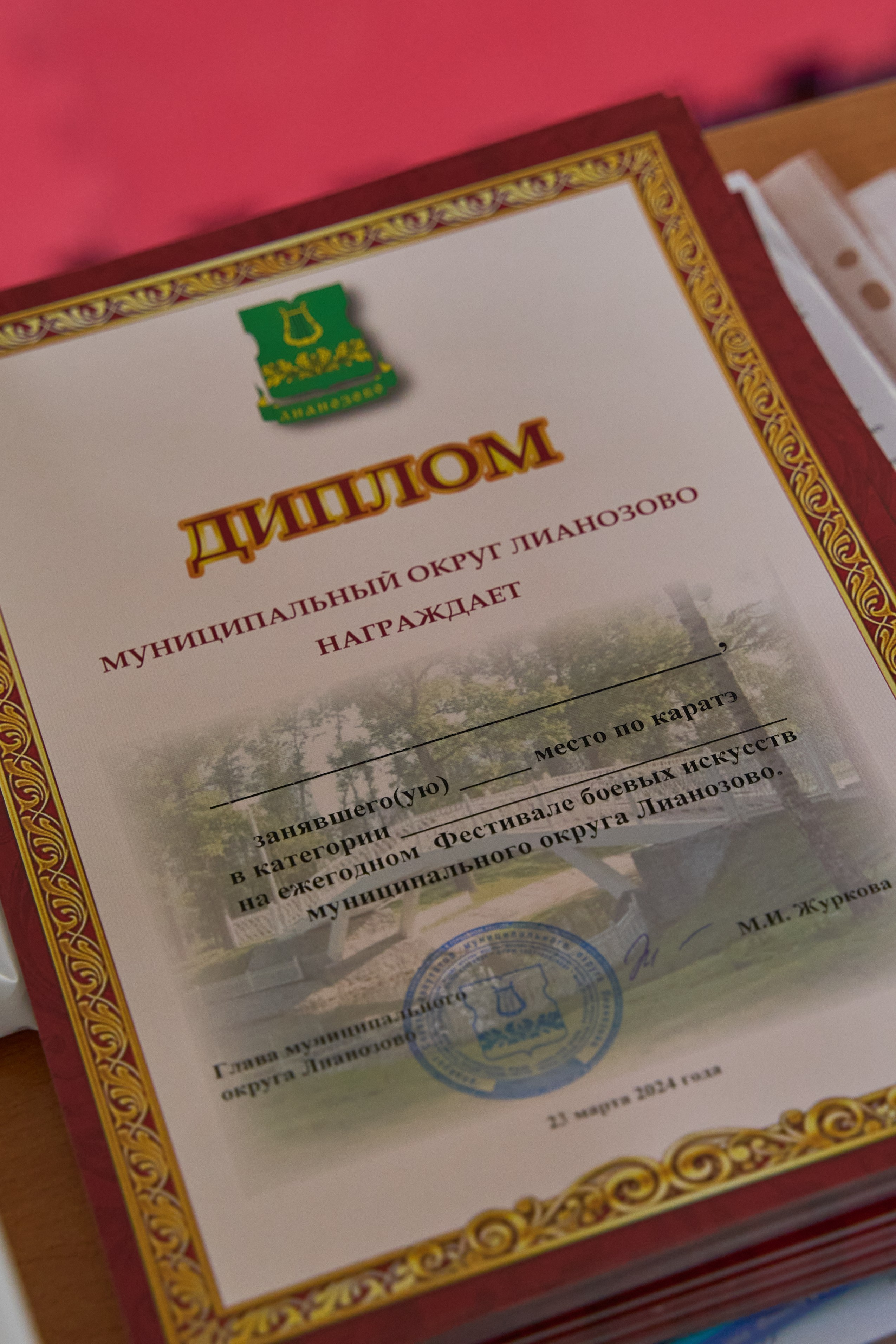 Фестиваль Восточных Единоборств 2024. Гасанова Любовь фотограф в Москве