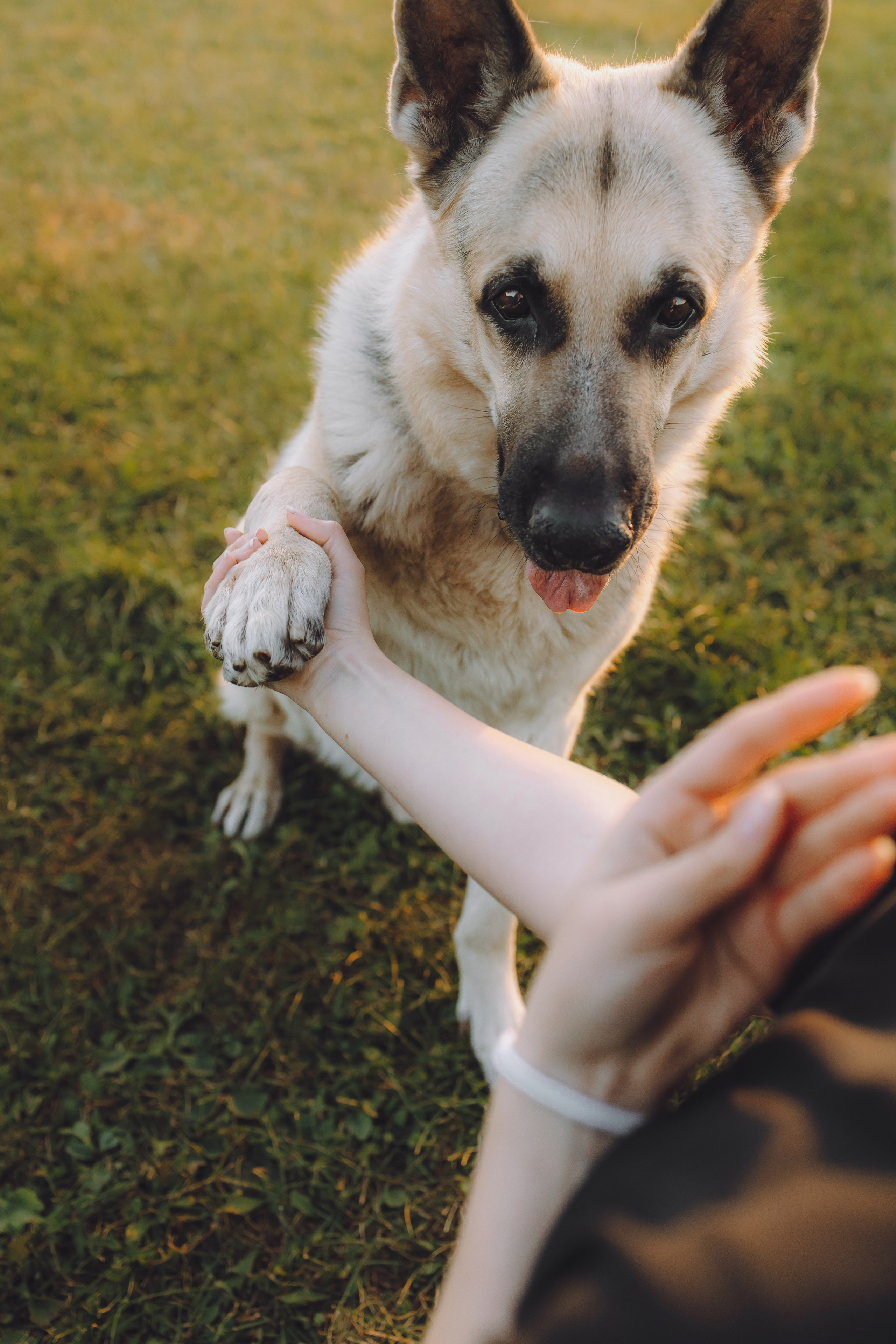 Кристина и все-все