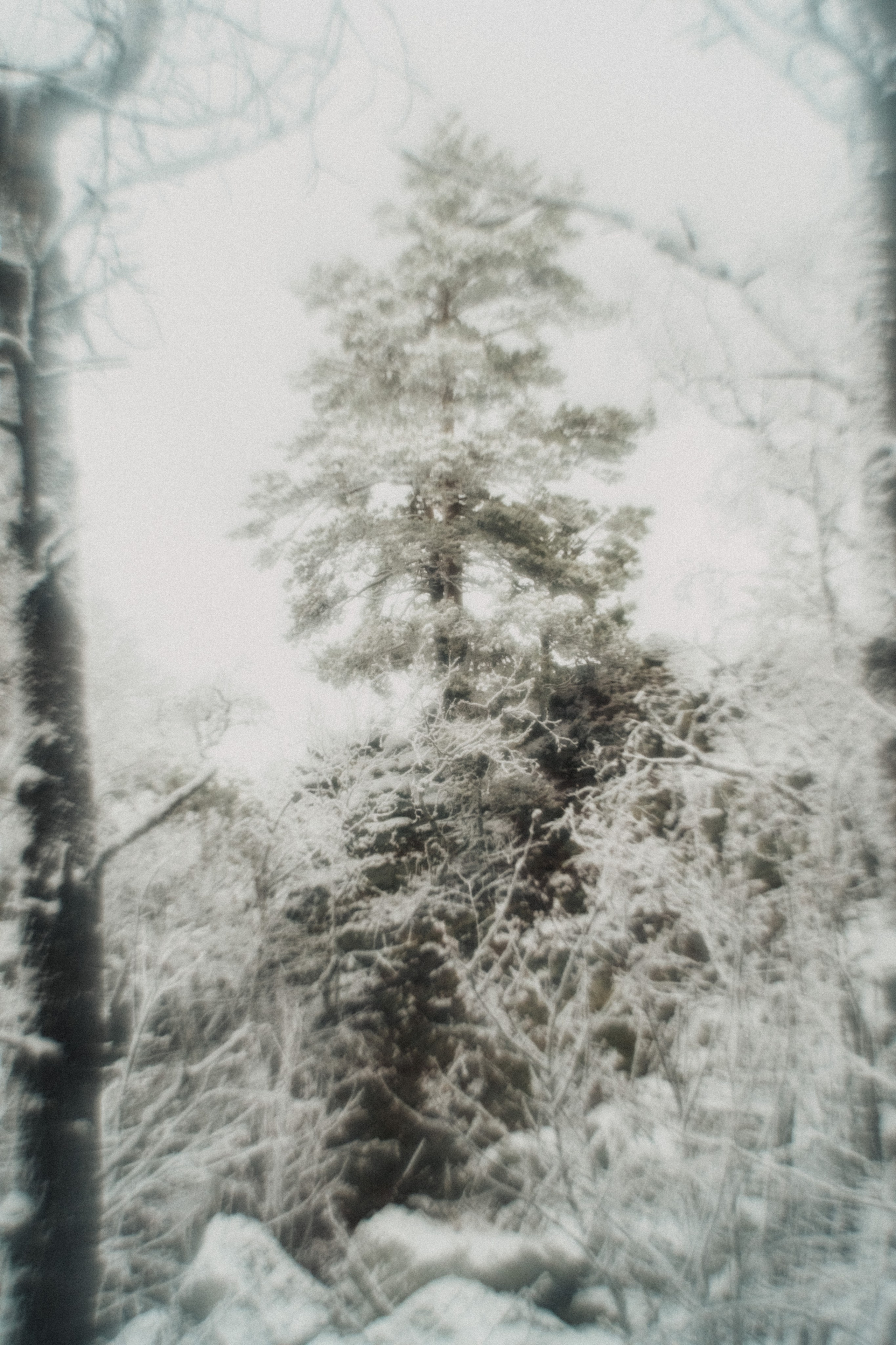 Айгир. Andrew Sozonov visual artist