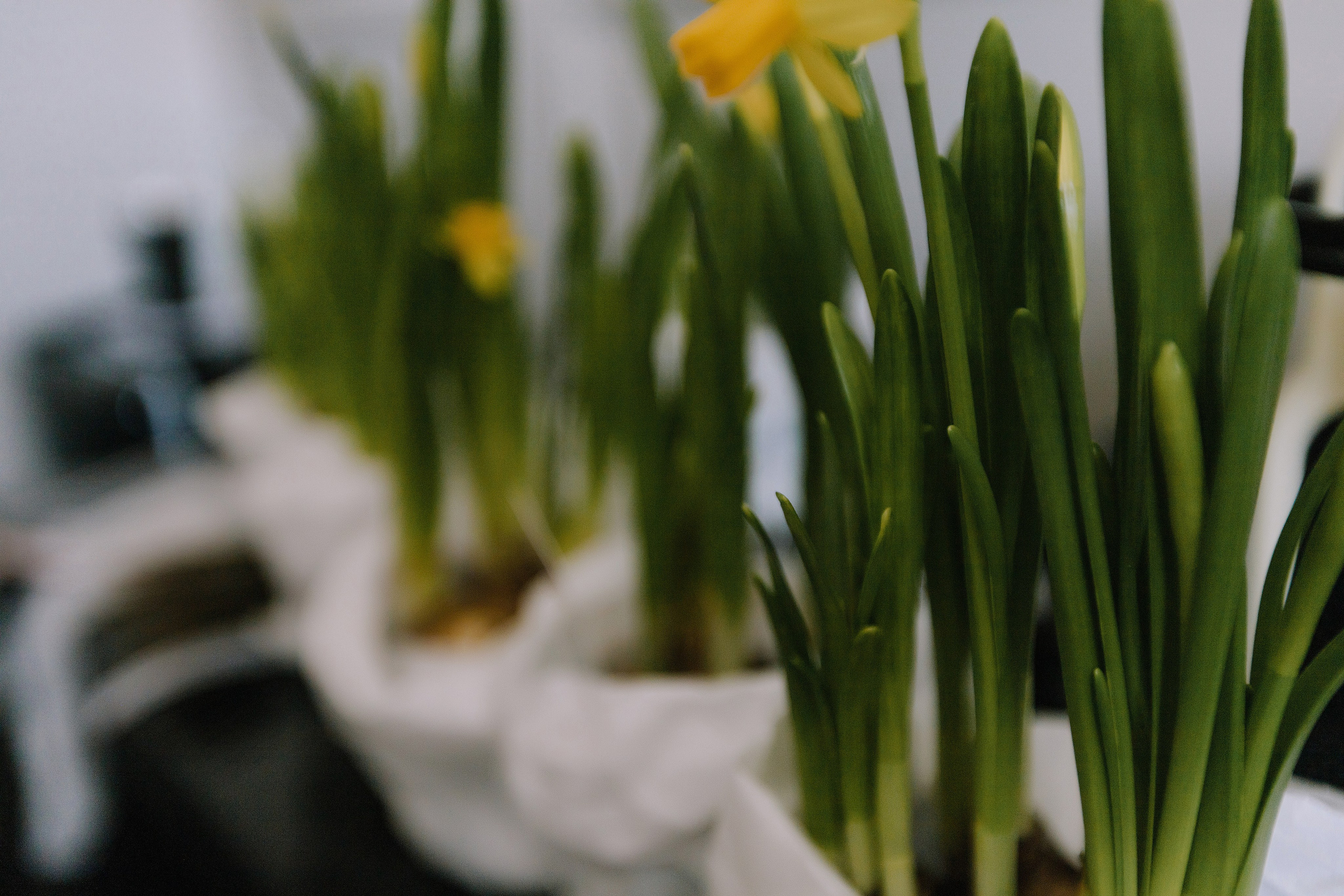 Творческая. Свадебный и семейный фотограф Челябинск и Челябинская область