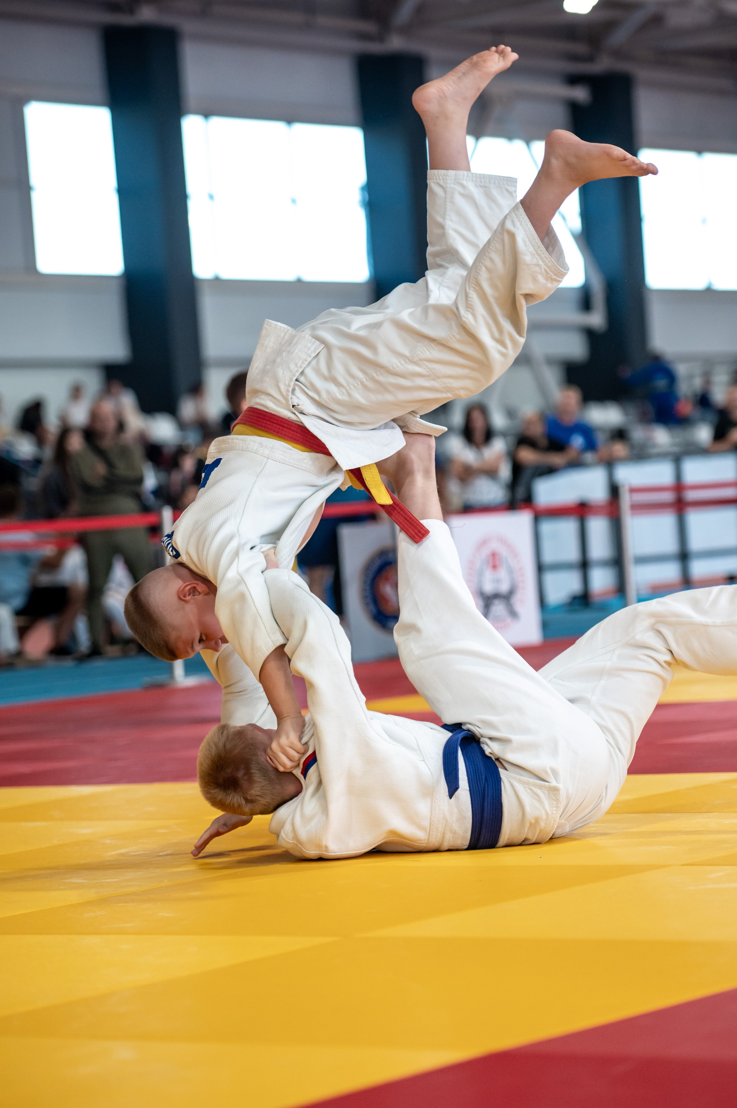 Турнир по дзюдо «Тульский левша», сентябрь 2024. Спортивный фотограф в Туле и Тульской области. Файсханова Фото Спорт