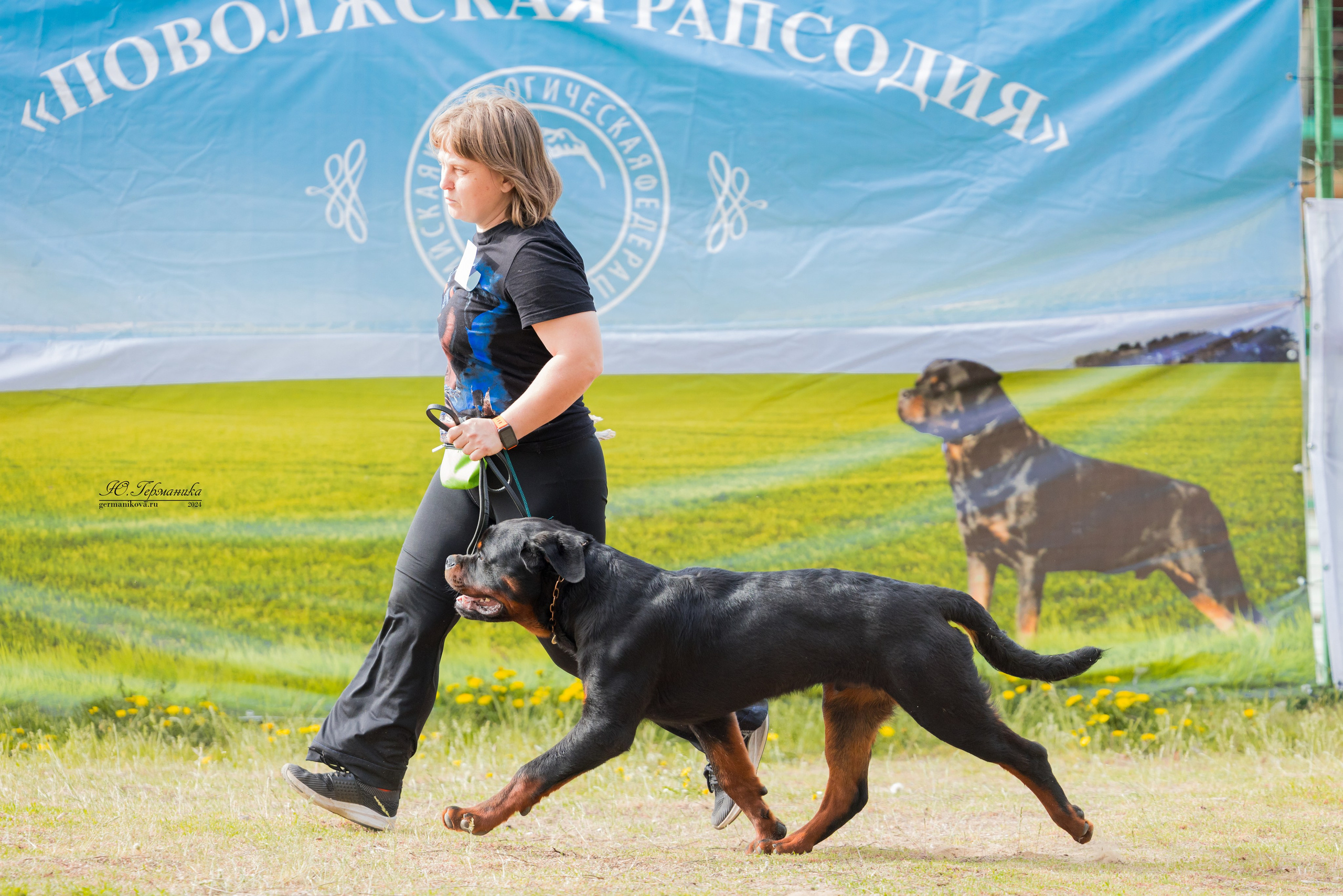 Саратов 2 х моно ротвейлеров 28-29.04.2024. Фотограф-анималист Юлия Германика