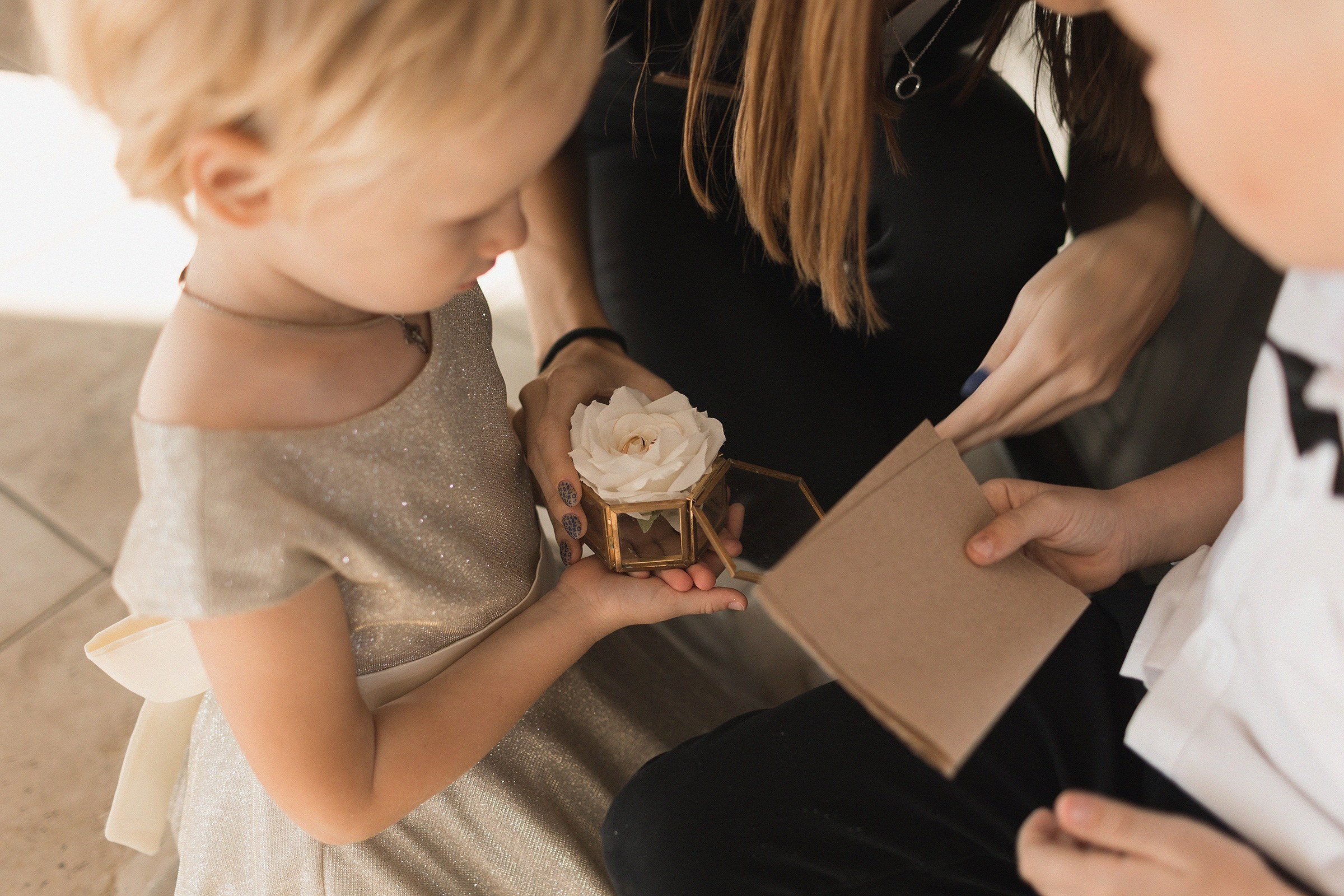 Wine and sea. Sovushka DS