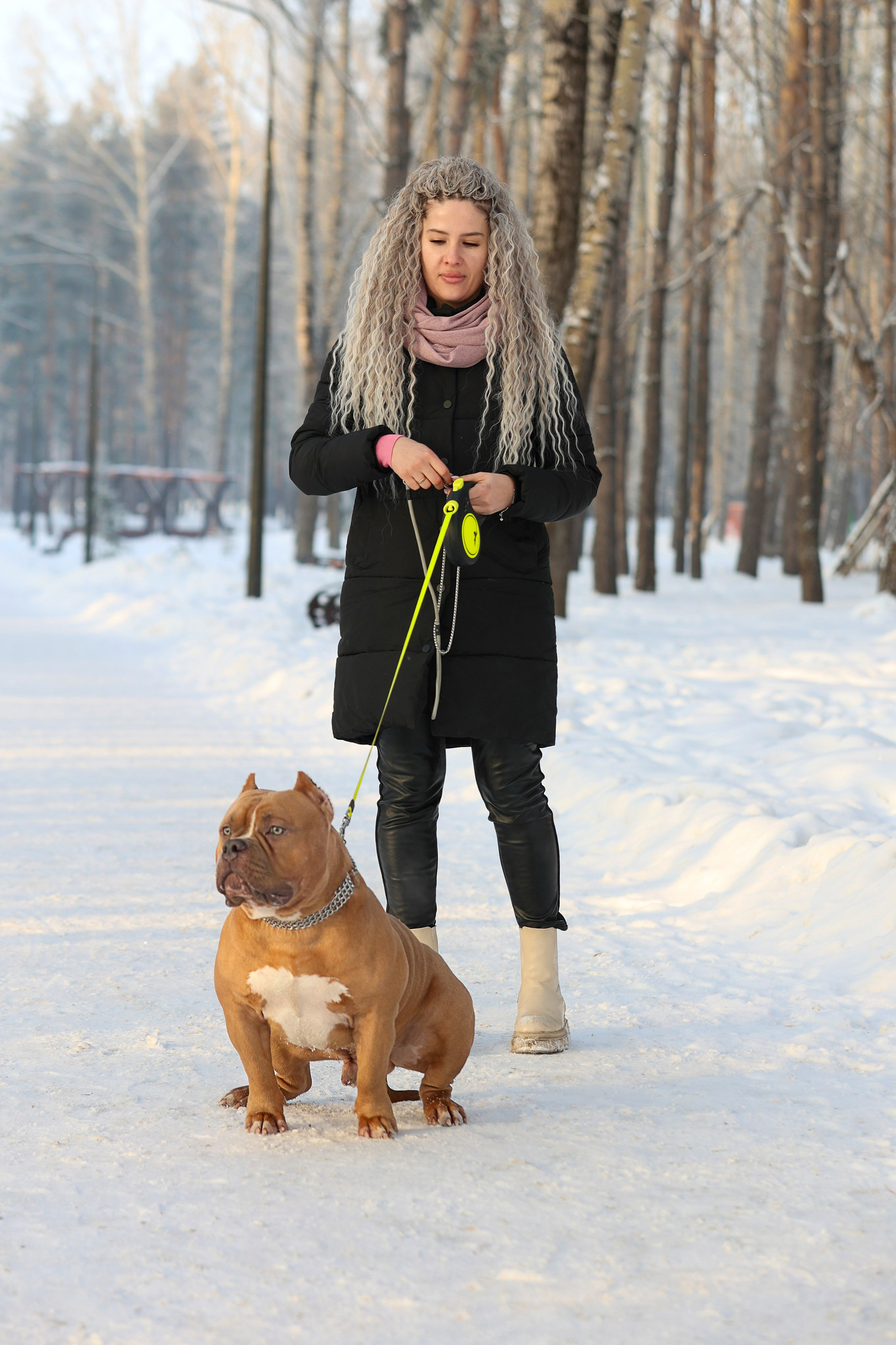 Американский булли!. Фотограф 📸 семейный, предметный, репортажный