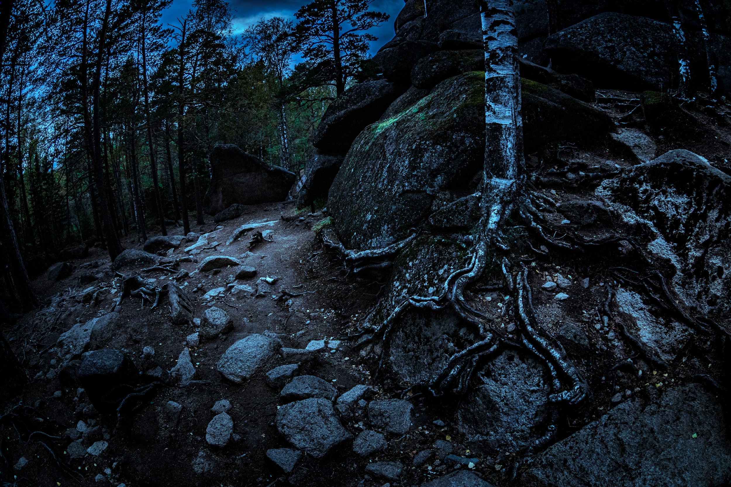 Серия «Нарисованные „Столбы“». Фотограф в Москве Татьяна Макотра