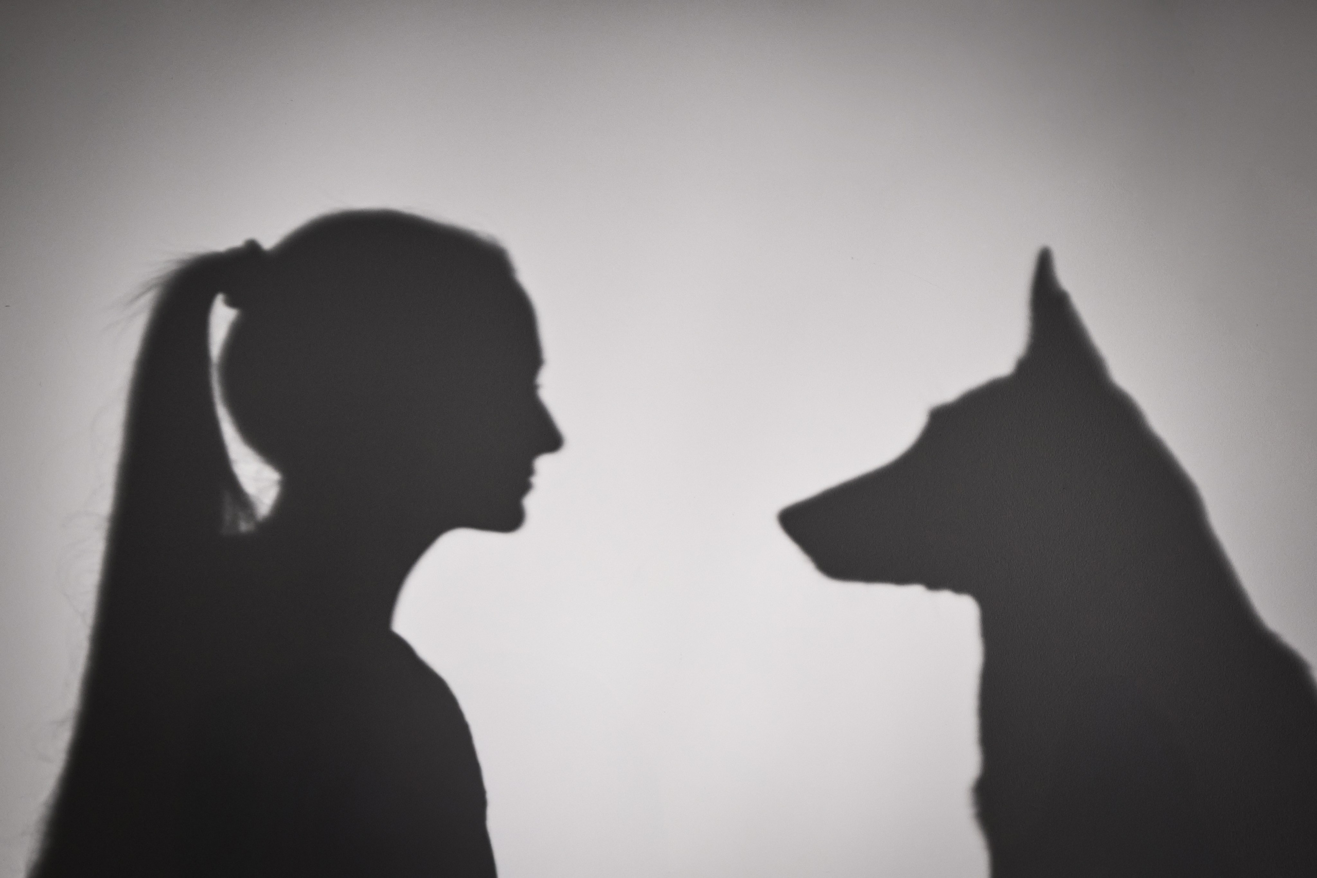 Presence. Dog Photographer Anna Averianova | Art & Commercial Pet Photography