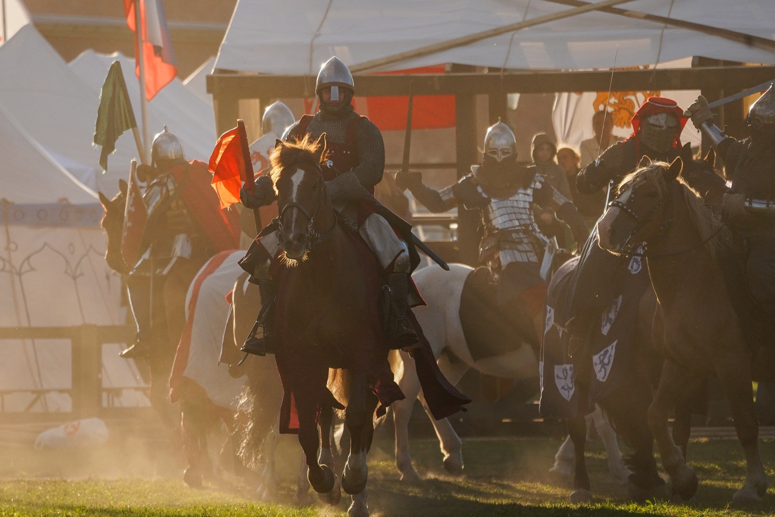 Рыцарский турнир в рамках фестиваля «Битва на Неве» Санкт-Петербург 2024 г. Фотограф-анималист, портретный фотограф в Чебоксарах Мария Садыкова