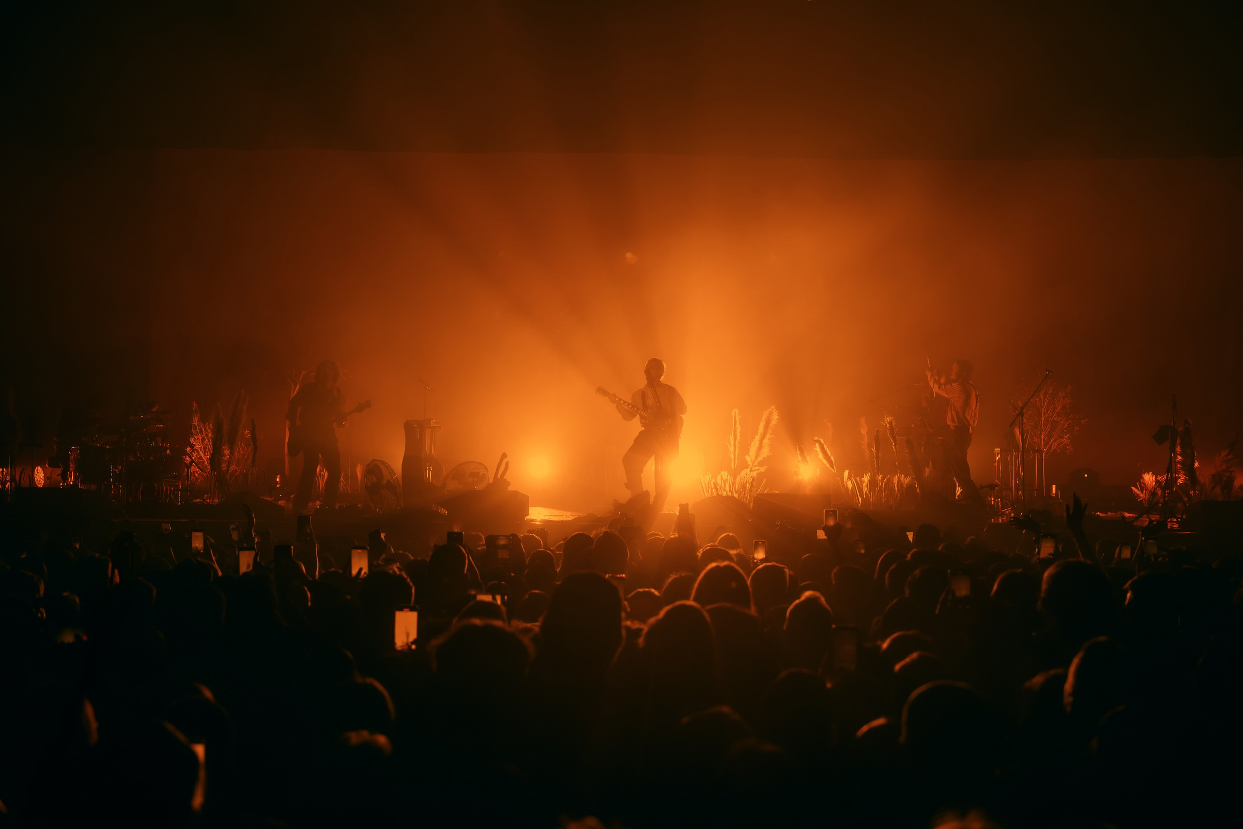 СИРОТКИН. Портретный и репортажный фотограф в Санкт-Петербурге Максим Пашков