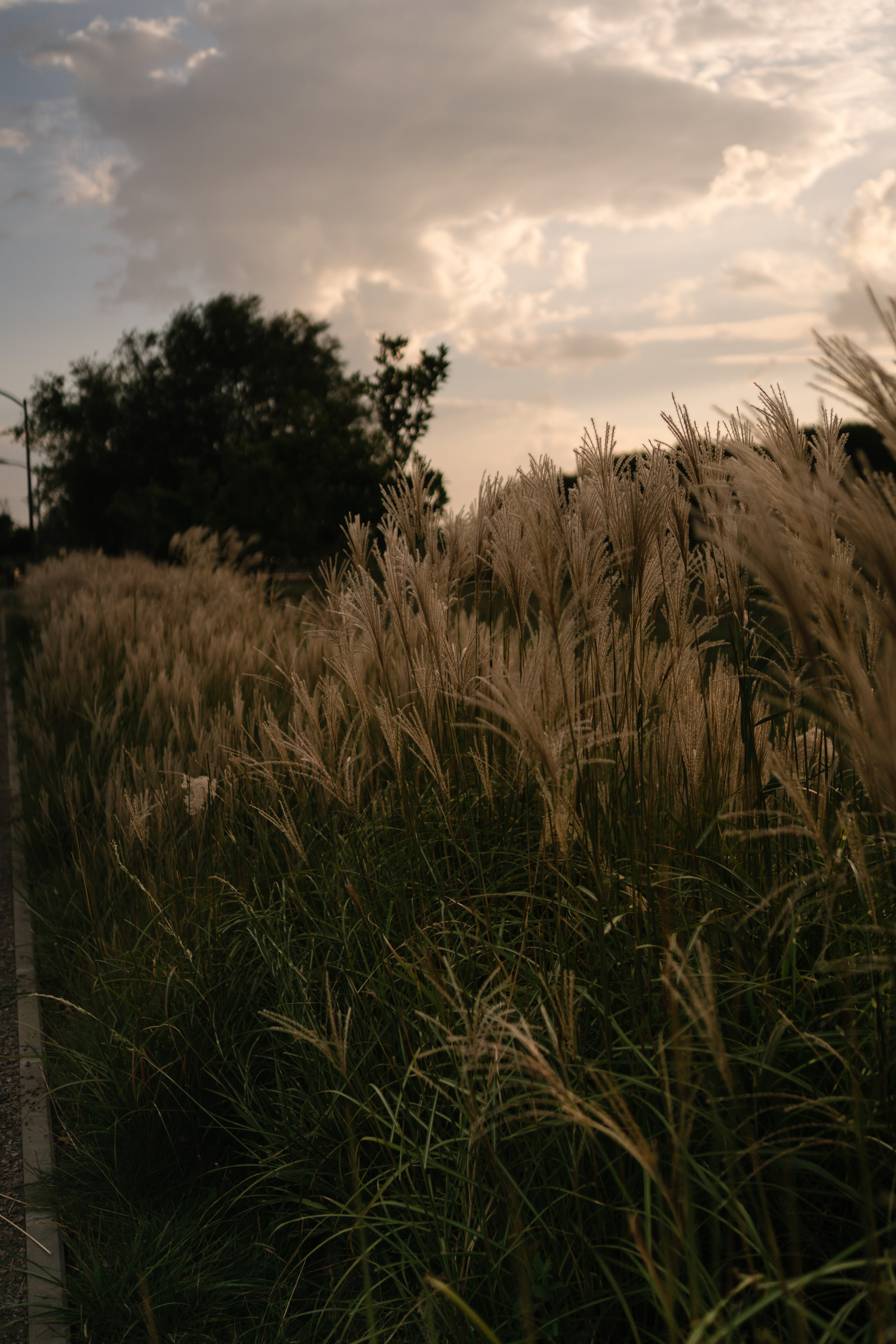 Локации для школьных съемок. Семейный фотограф и видеограф Ростов-на-Дону