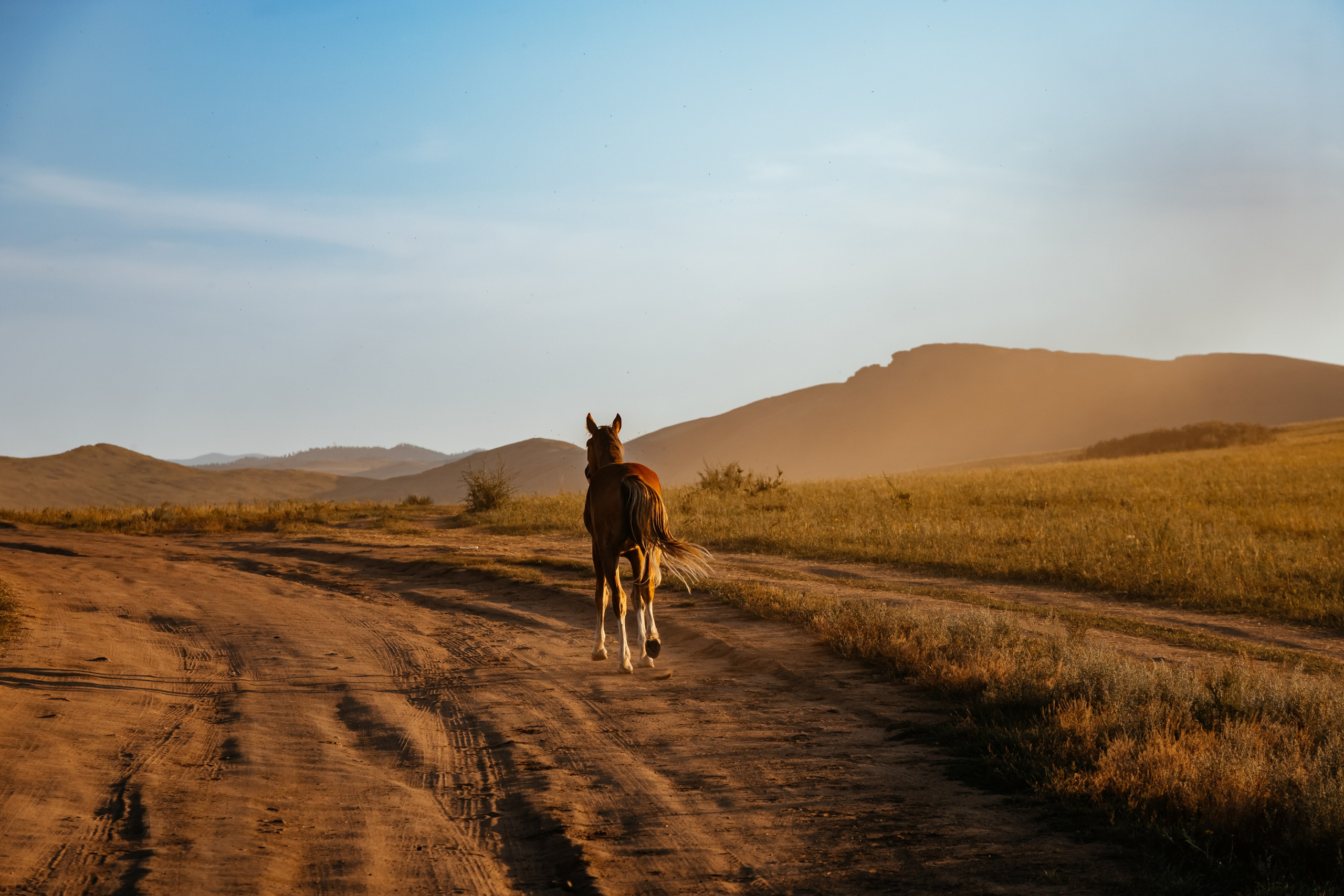 Хакассия. Фотограф в Красноярске Оксана Корчагина