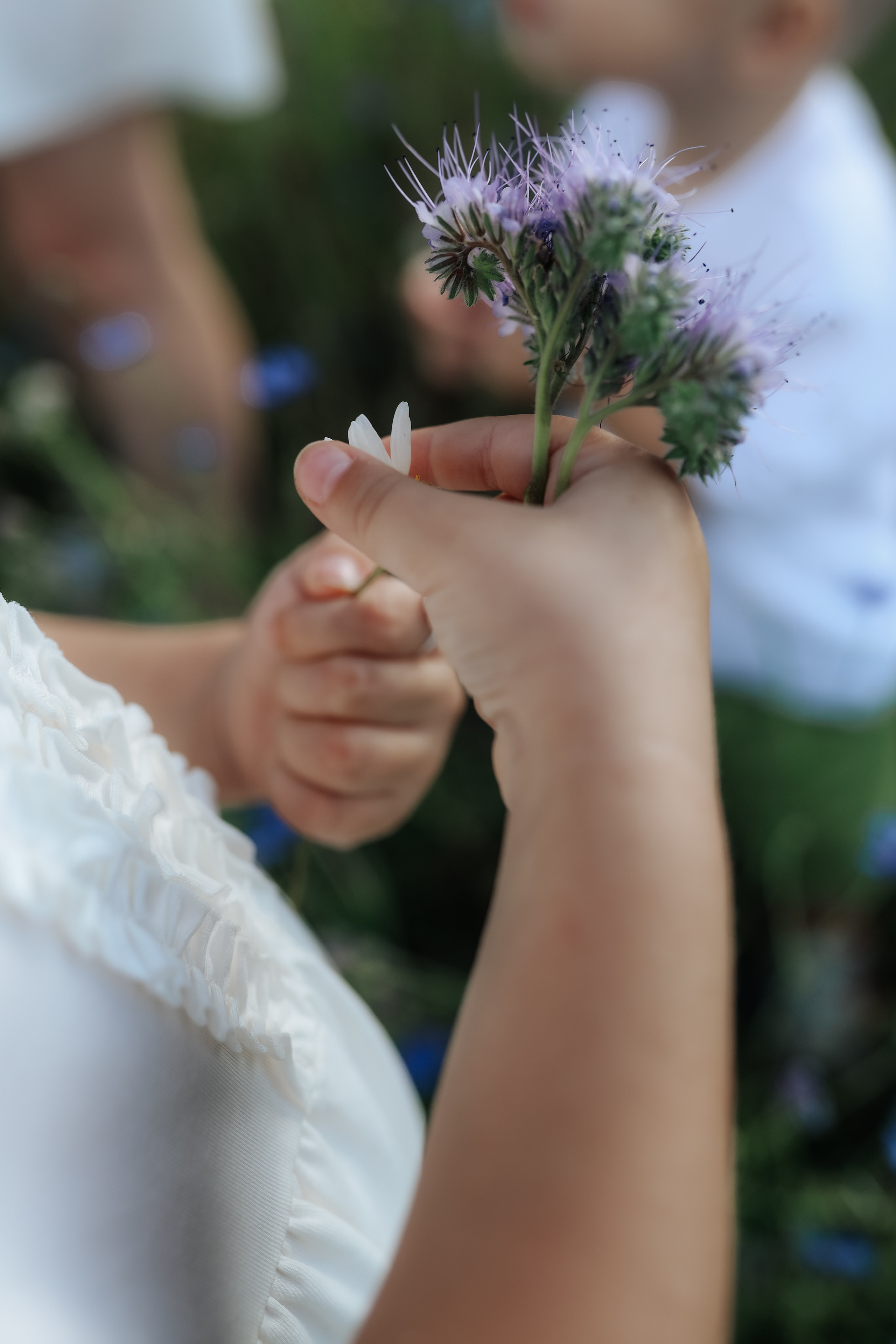 Семья Александра и Елены. Фотограф Татьяна Рыжкова Йошкар-Ола|Чебоксары|Козьмодемьянск