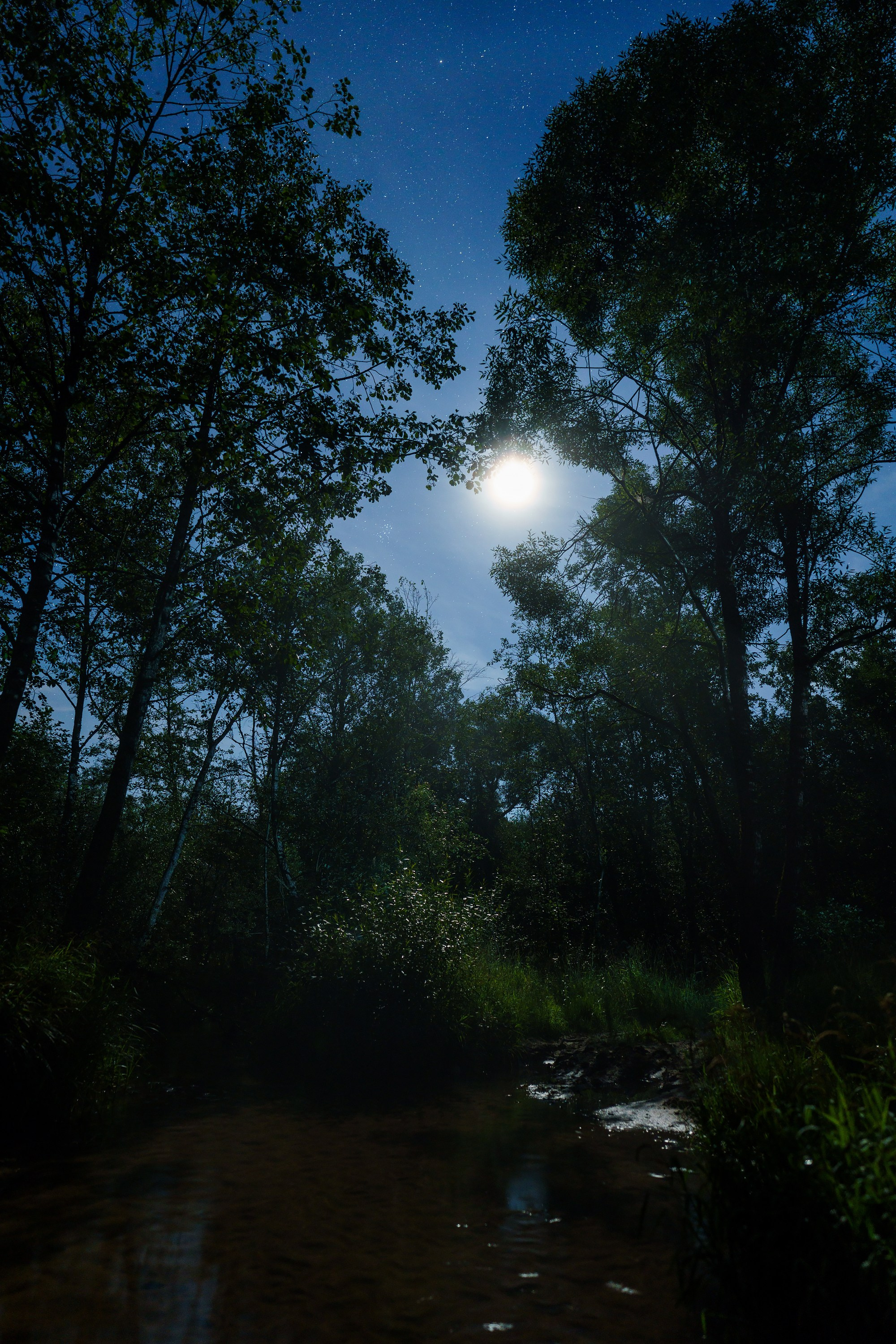 Фотографии Национальный парк Угра. Фотограф спортивные события, недвижимость, турбизнес