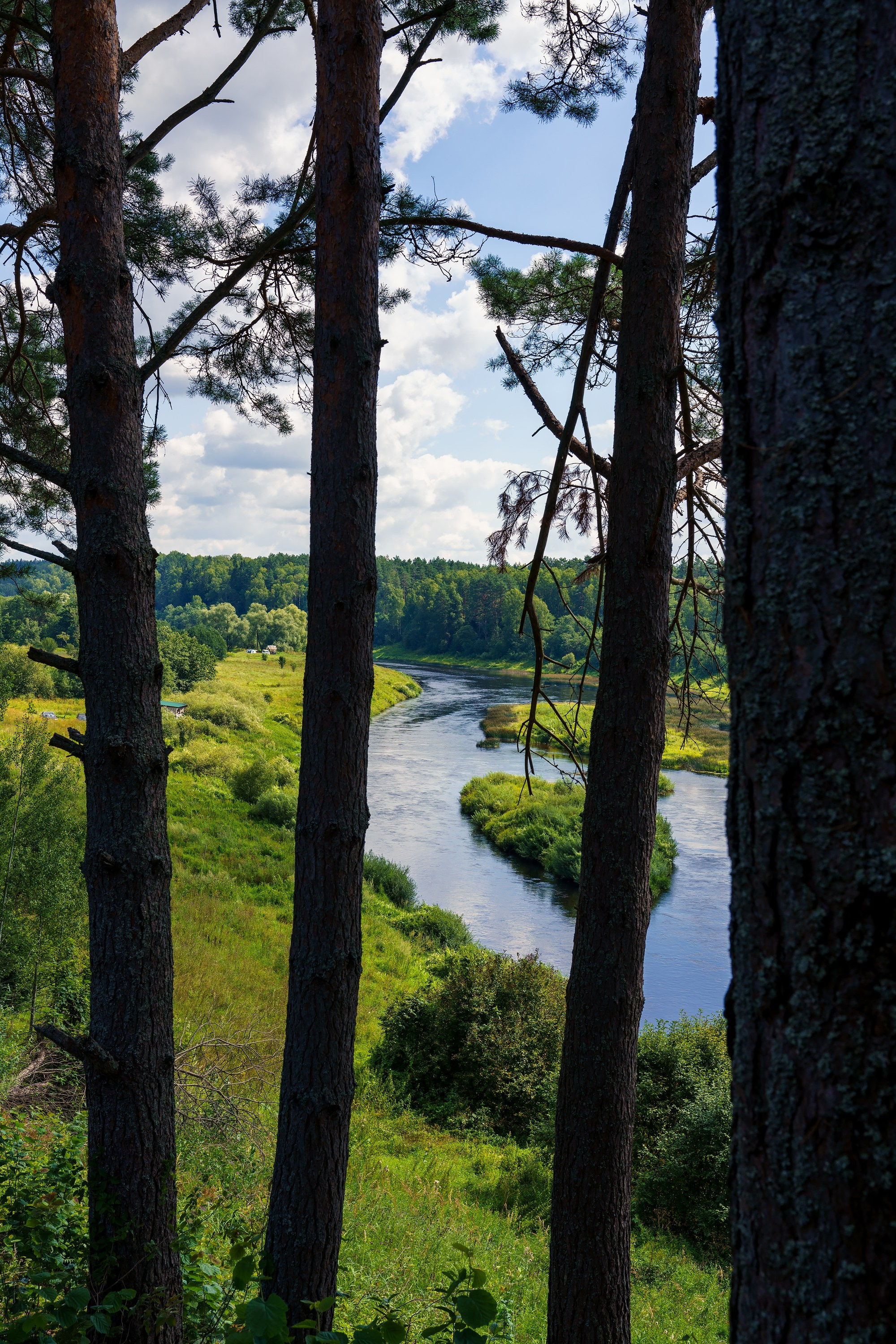 Фотографии Национальный парк Угра. Фотограф спортивные события, недвижимость, турбизнес