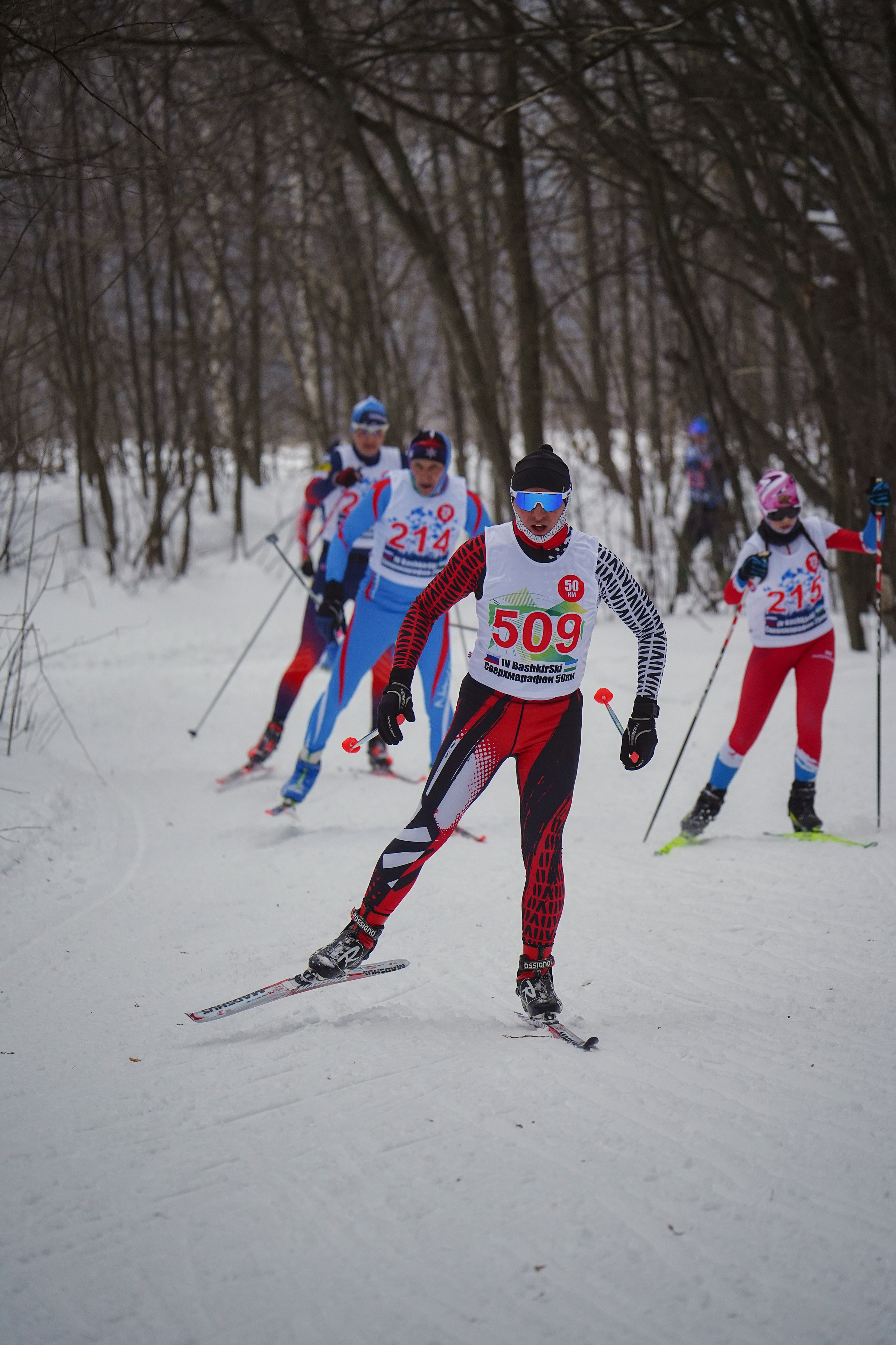 4-й BASHKIR-SKI Лыжный Сверхмарафон 100 км. Pupov.png