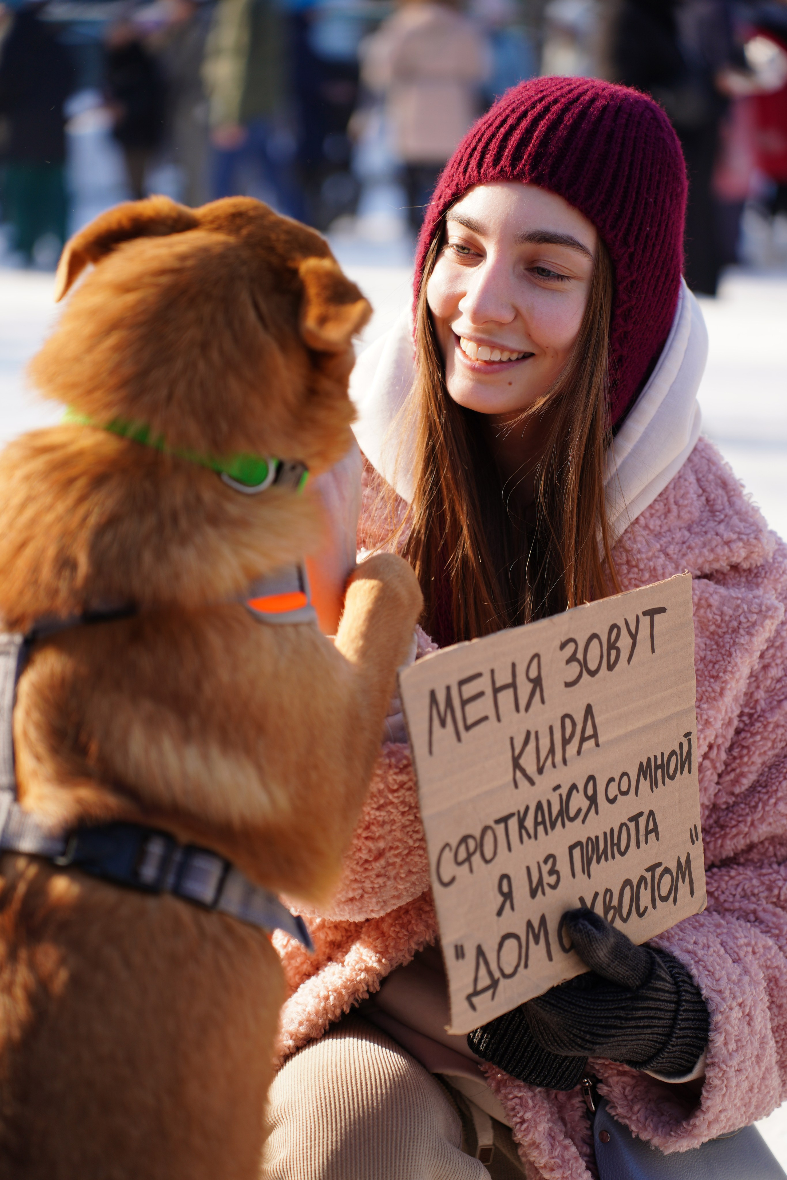 Репортажка. Pupov.png