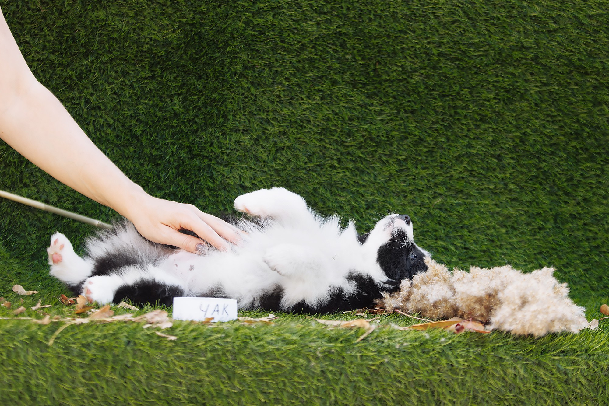 Новый лист. О нас