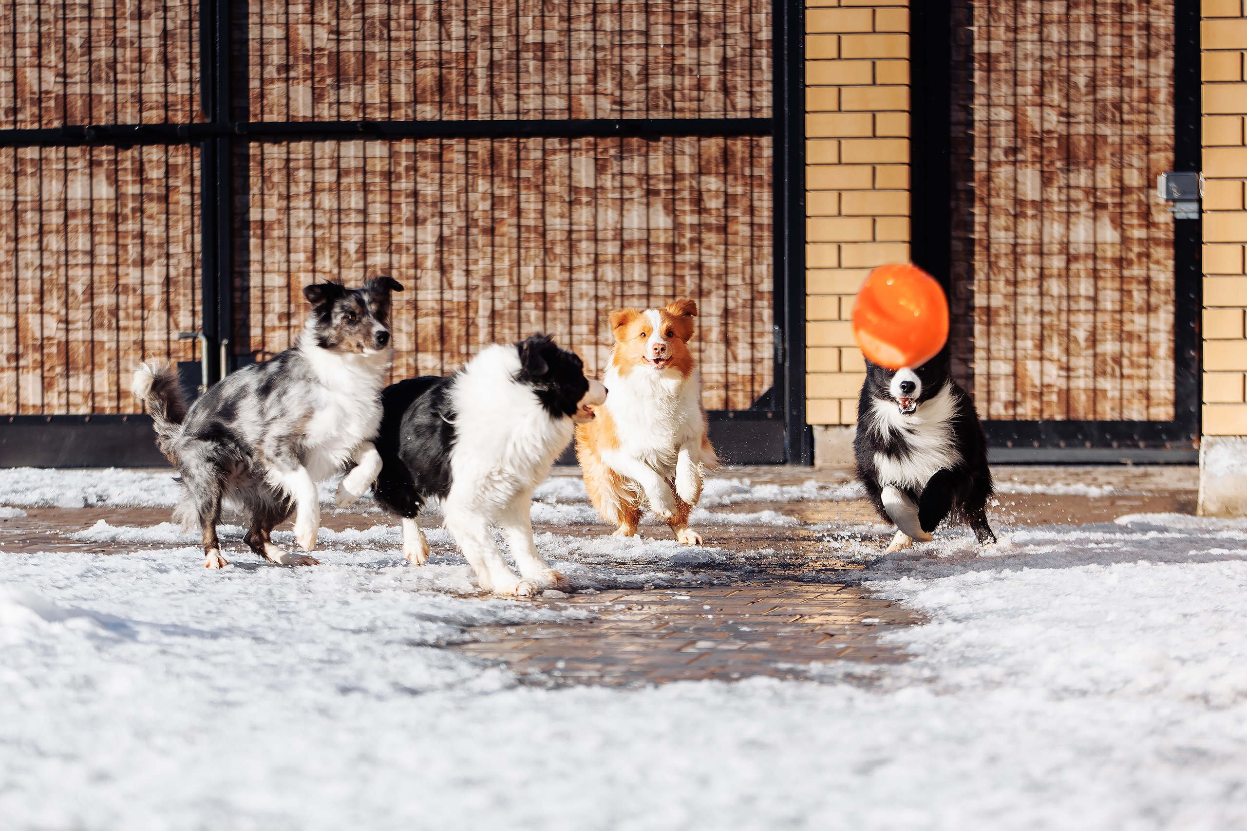 Пока таяло. О нас