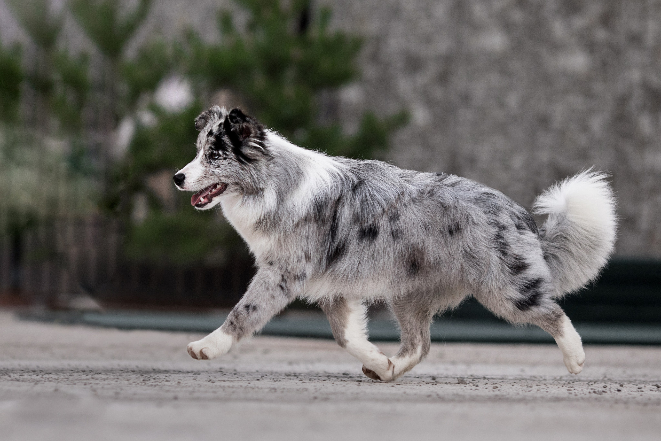 Роскошь в ростошах. О нас