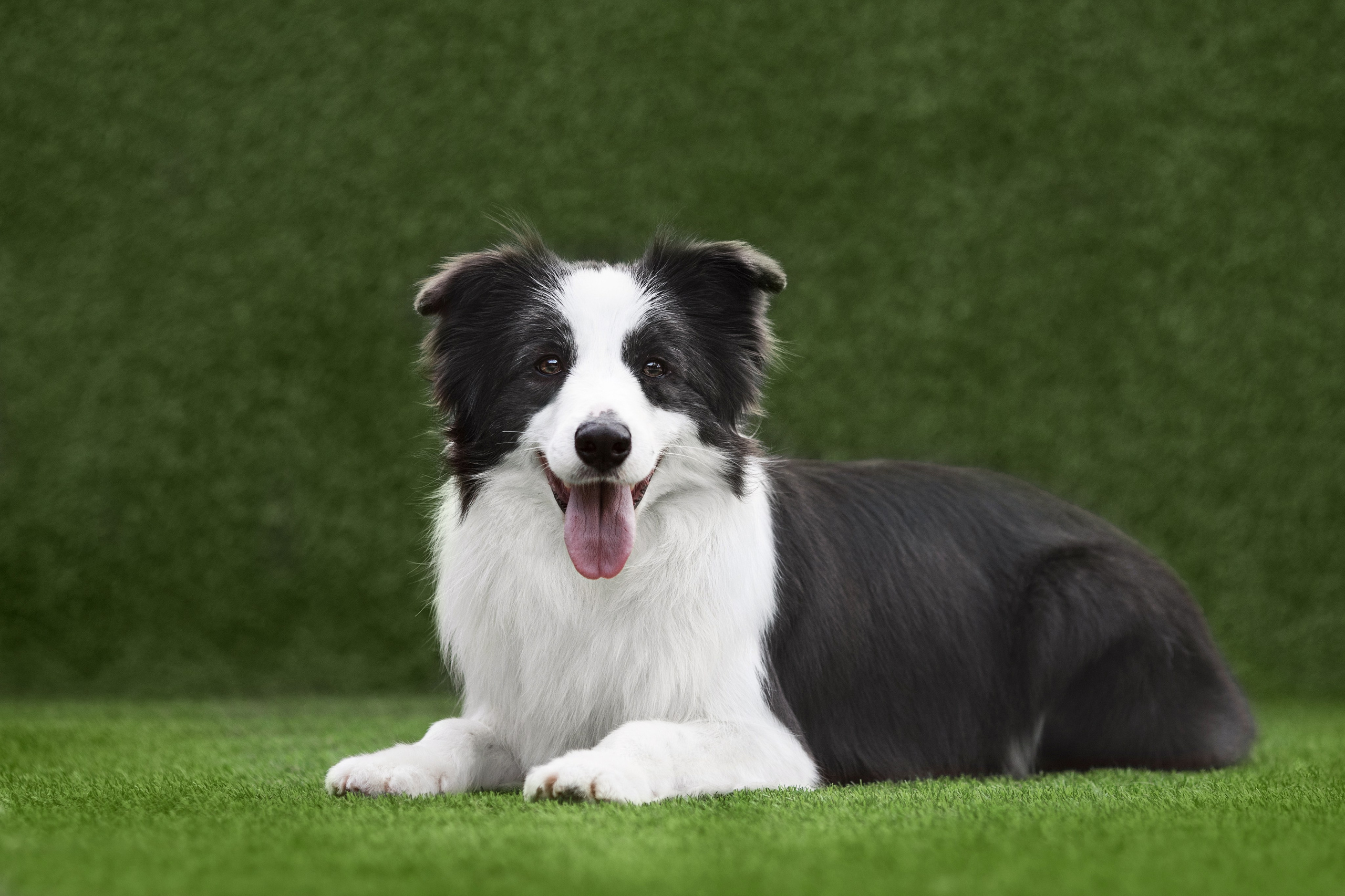 Роскошь в ростошах. О нас