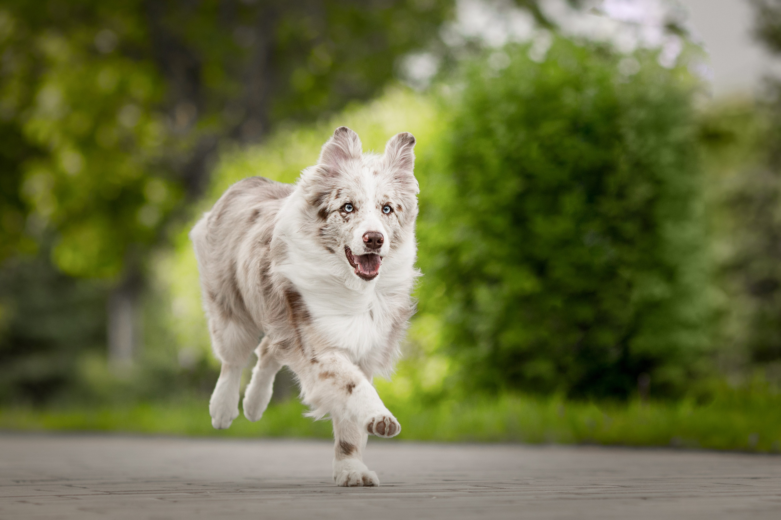 Роскошь в ростошах. О нас