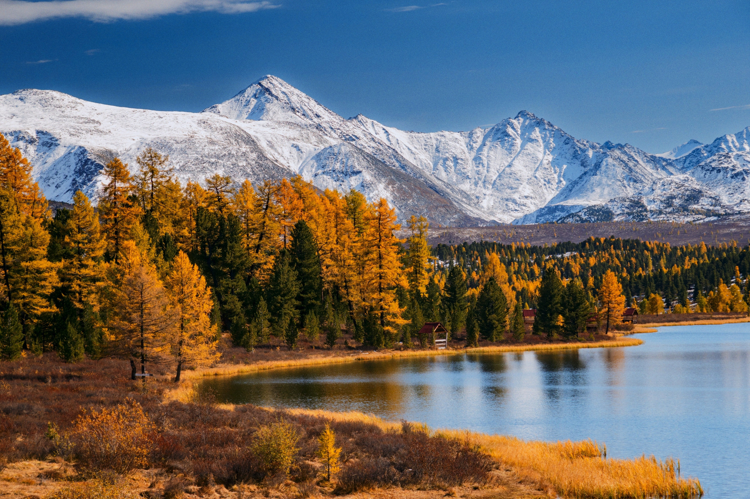 Алтай. Владимир Смирнов | Интерьер Индастриал Репортаж | Иркутск