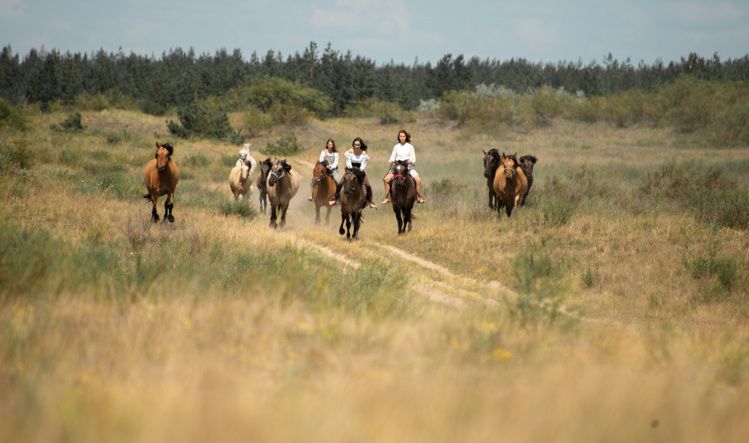 Купала в Родославном. Конный фотограф в Саратове Юлия Иванова