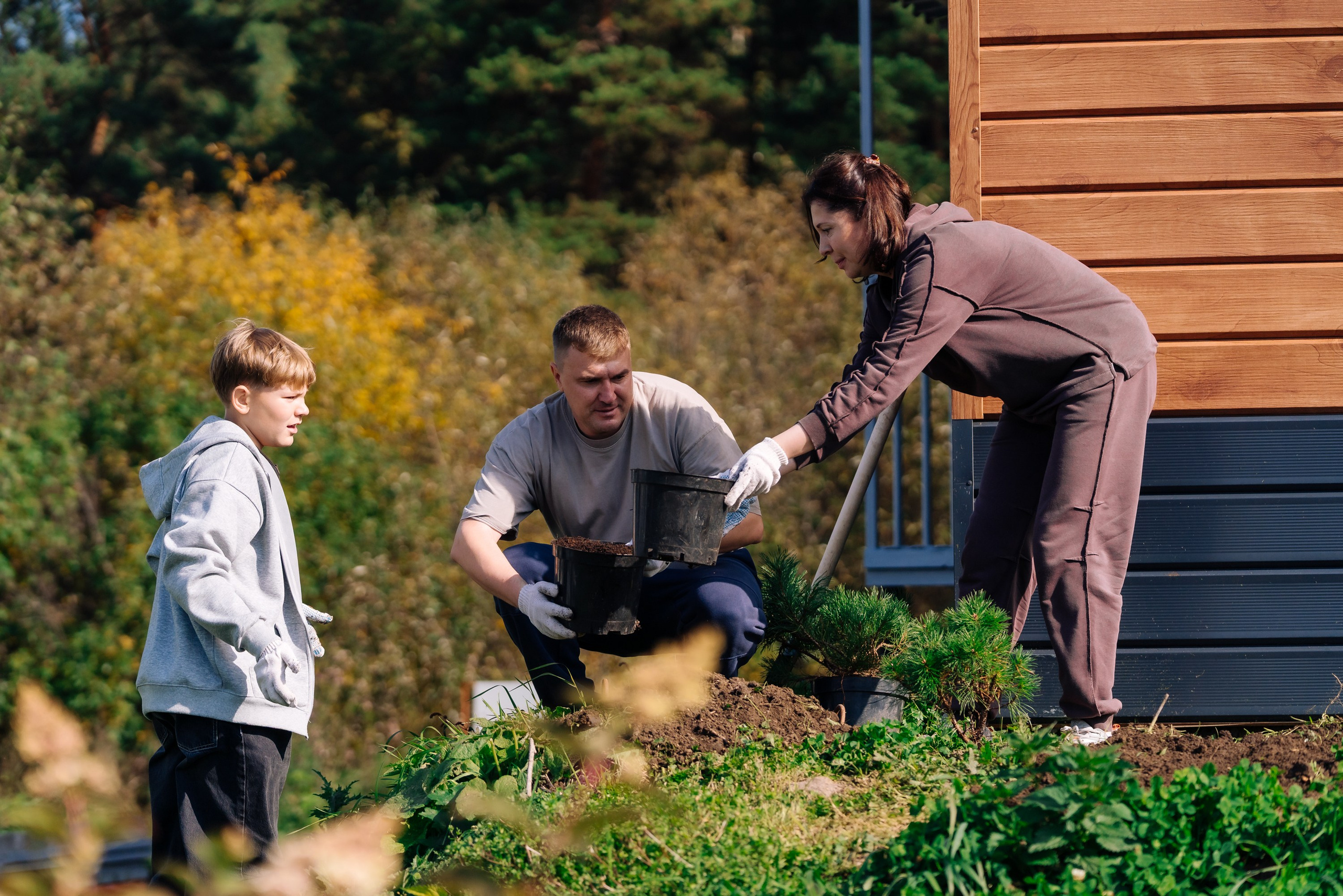 Дневные события. Geometria