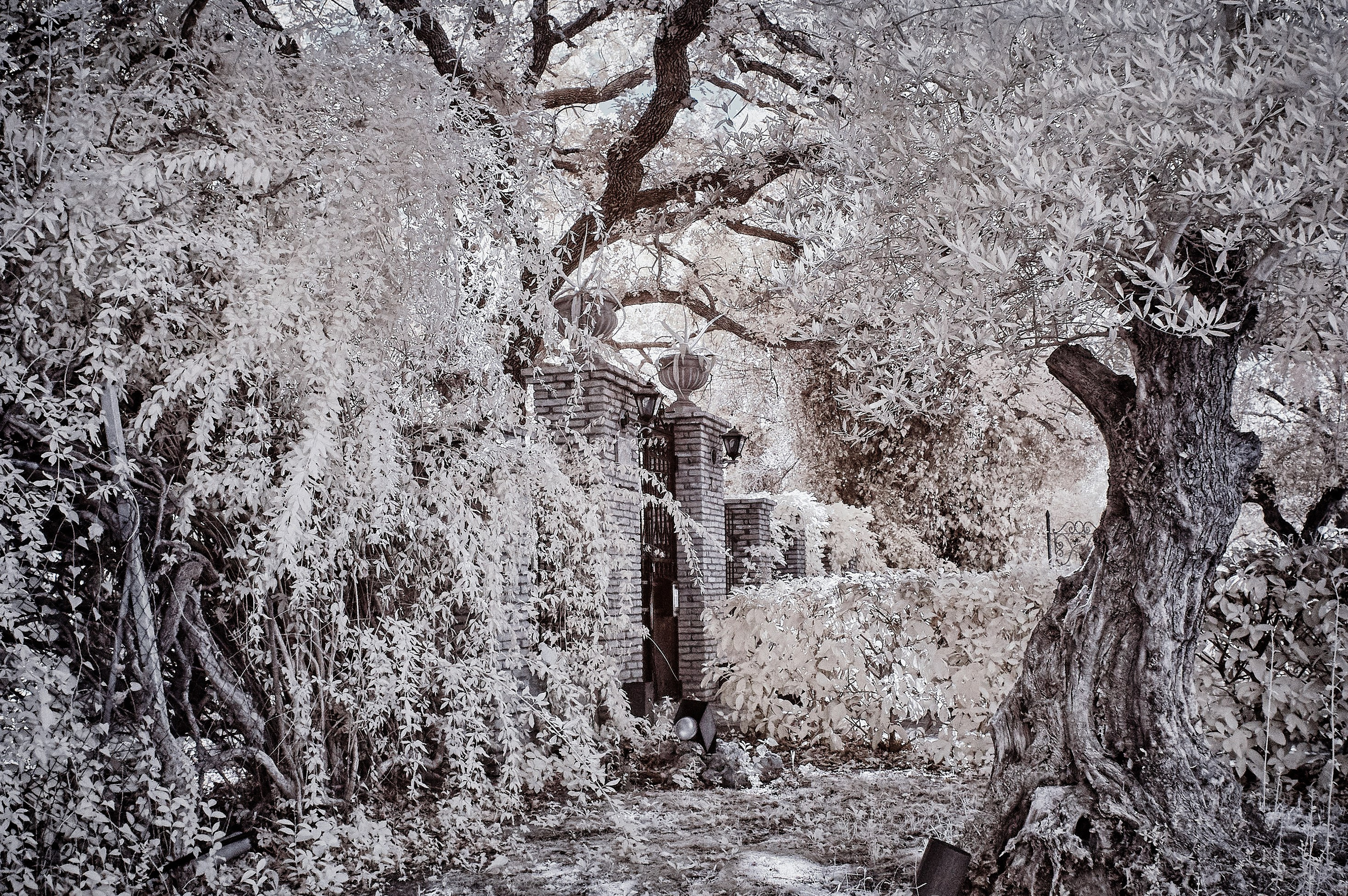 Infrared Photography. Solofilms