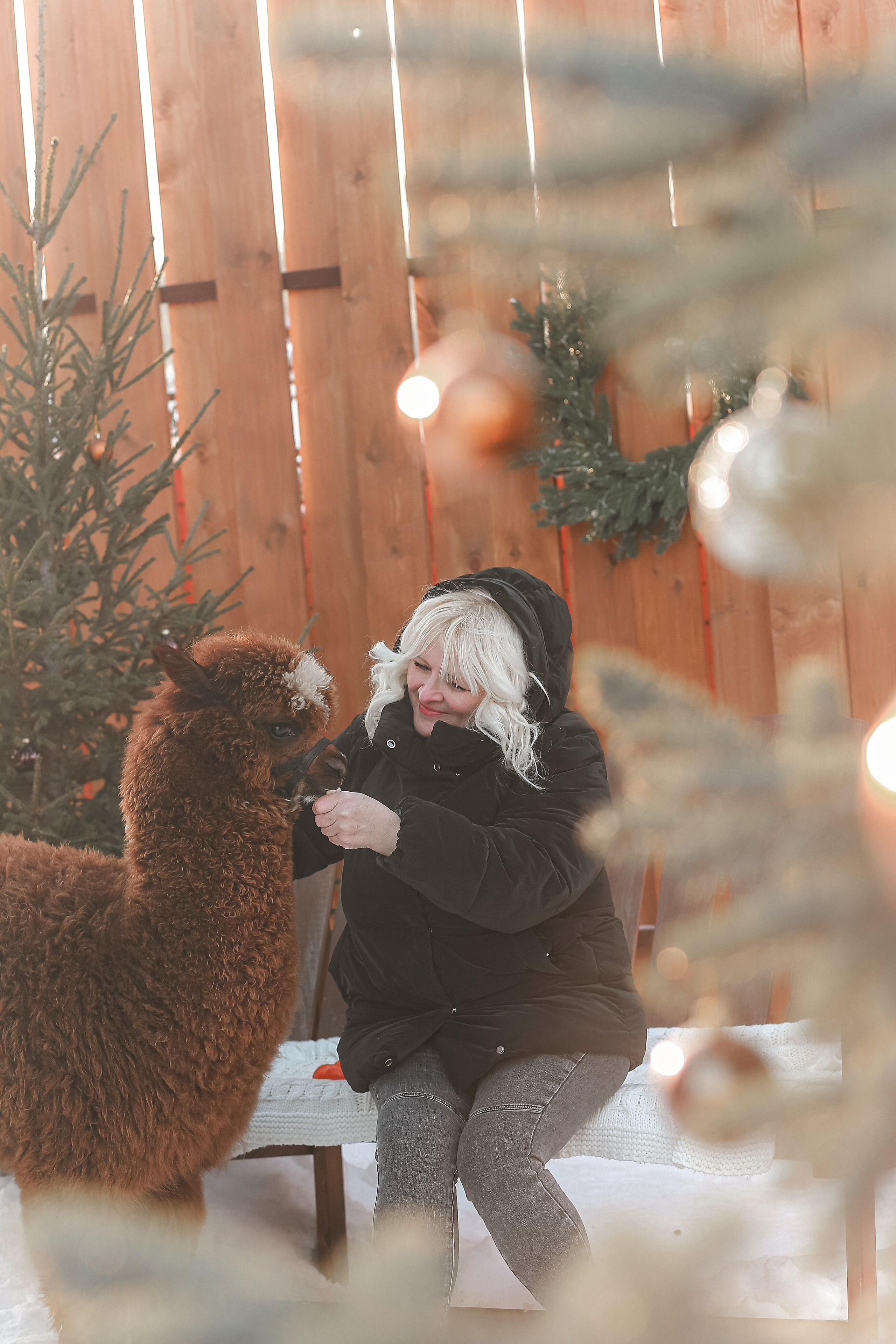 Семейная съемка с Альпакой!. Иванова Ирина Свадебный и семейный фотограф г. Уфа