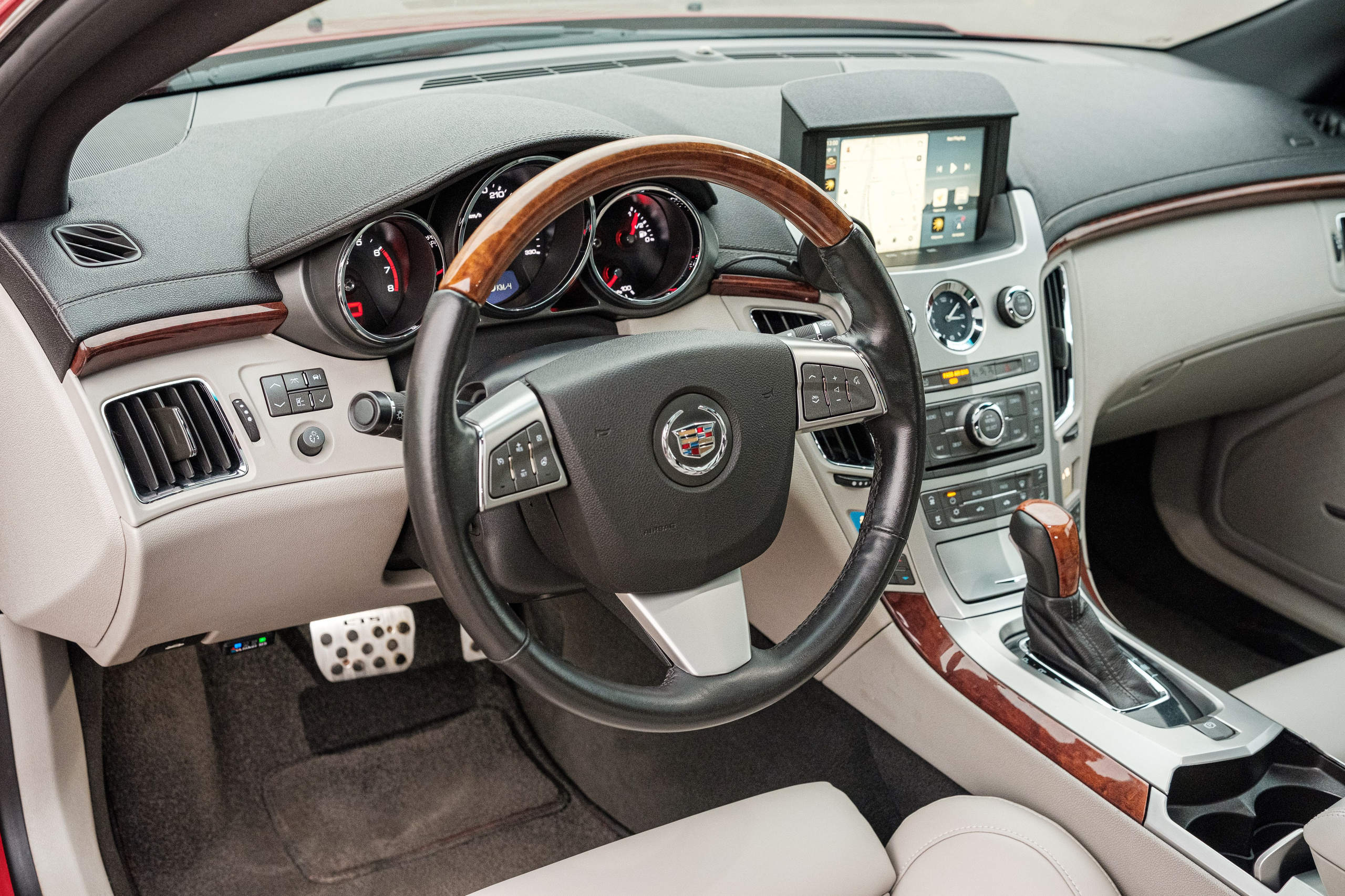 Кэдди. Алексей Никифоров фотограф Москва, Химки