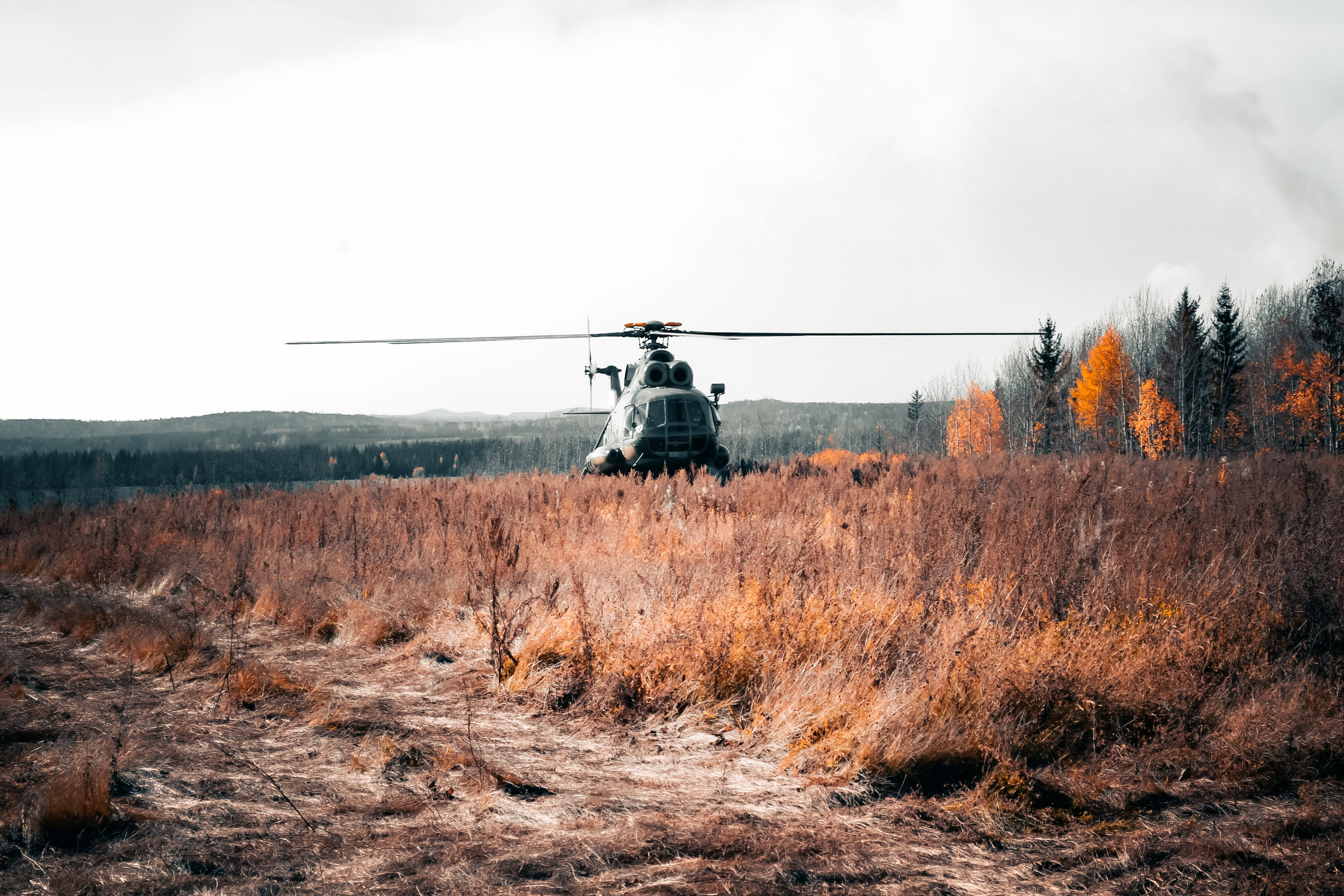 G G L V D M T R | Фотограф в Красноярске