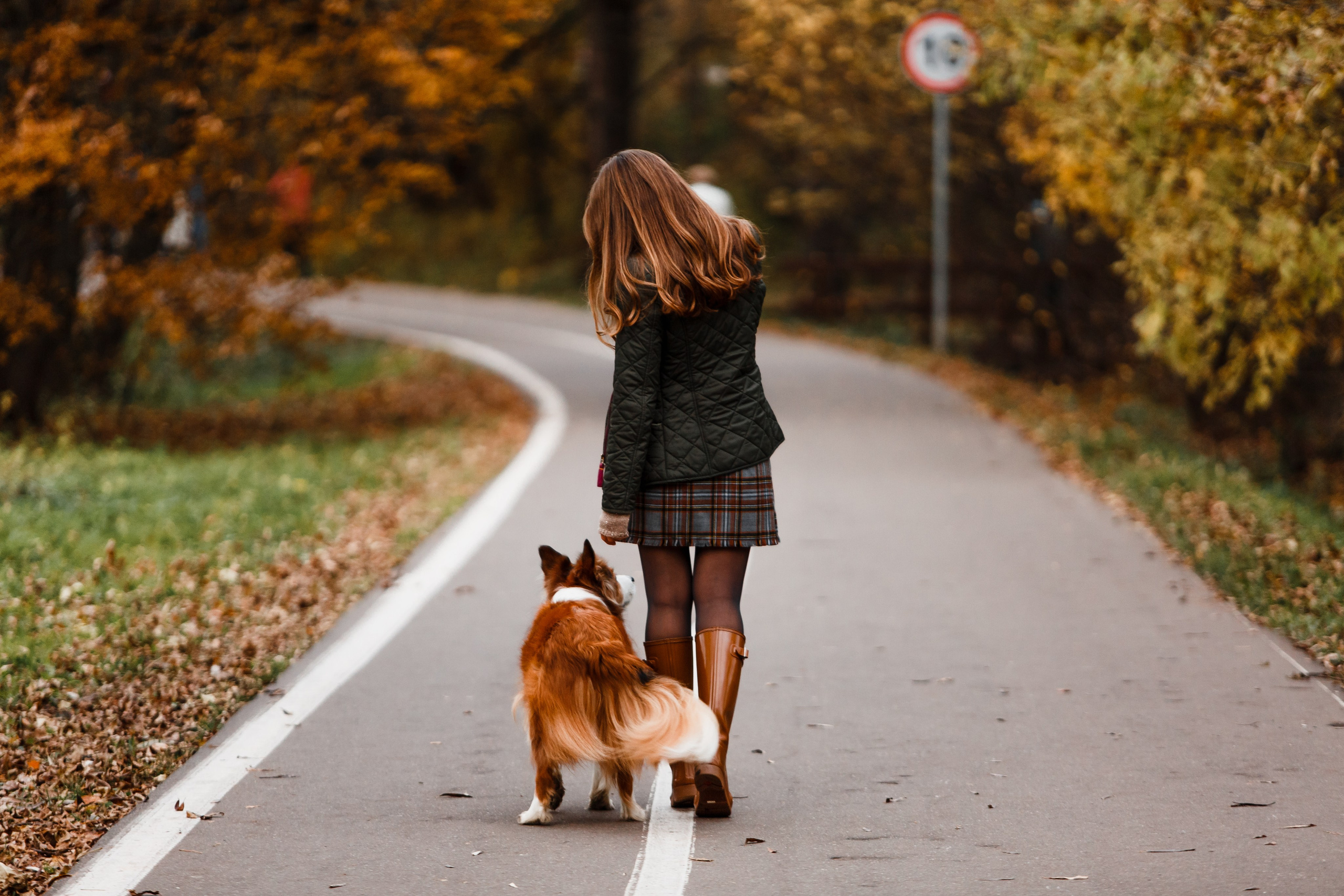 Анималистика. Главная