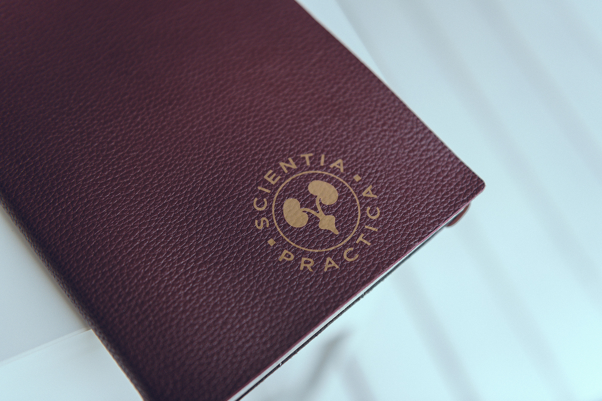 Съемка для врача. Фотограф Ростов-на-Дону Белла Керимова