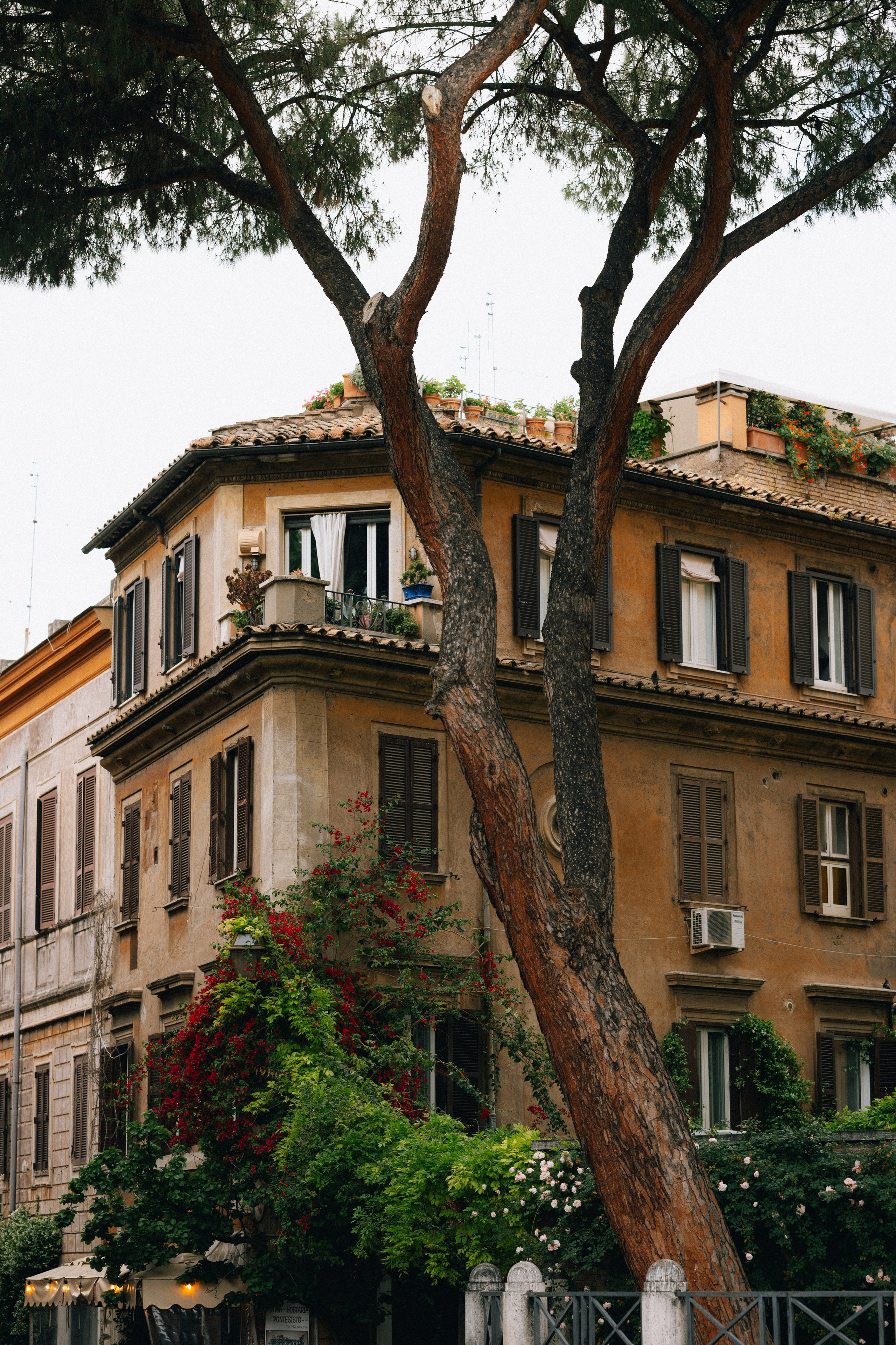 ROMA. Свадебный и семейный фотограф Никита Корохов