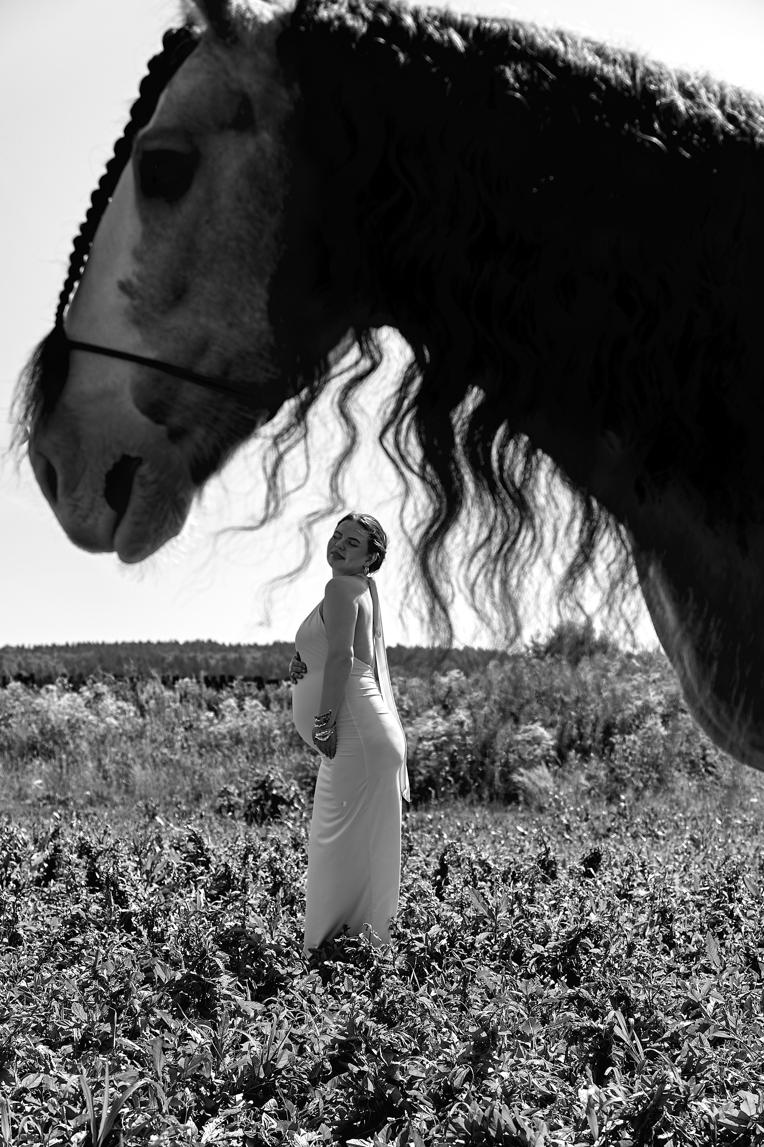 Алена Аллаки и конюшня. Главная