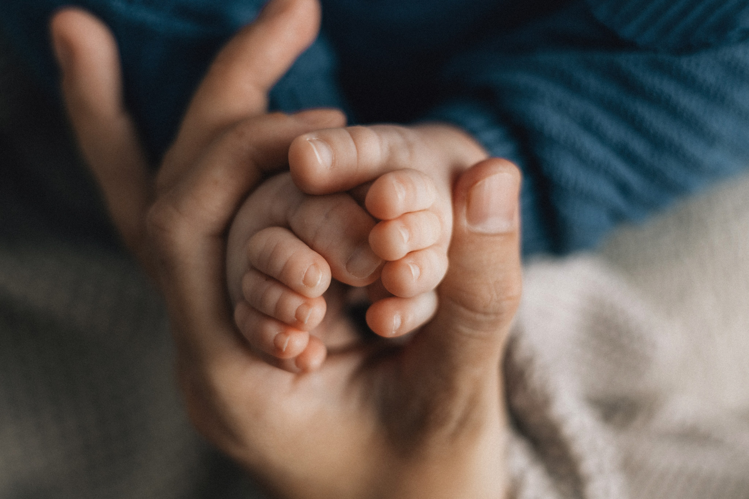 Данил, пакет «Мини», 2 месяца. Фотограф новорождённых Екатерина Боброва. Ульяновск