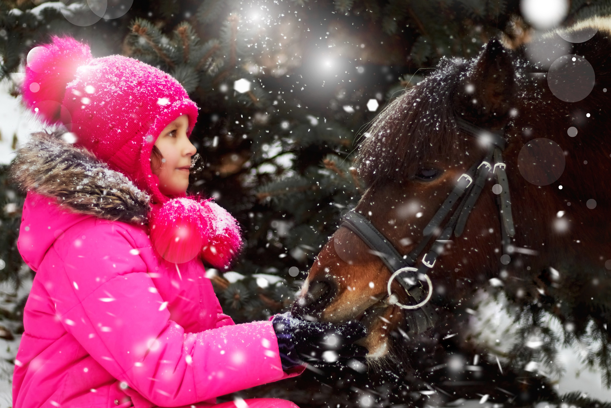 Фотосессии с лошадьми. Фотограф анималист — Тула, Москва