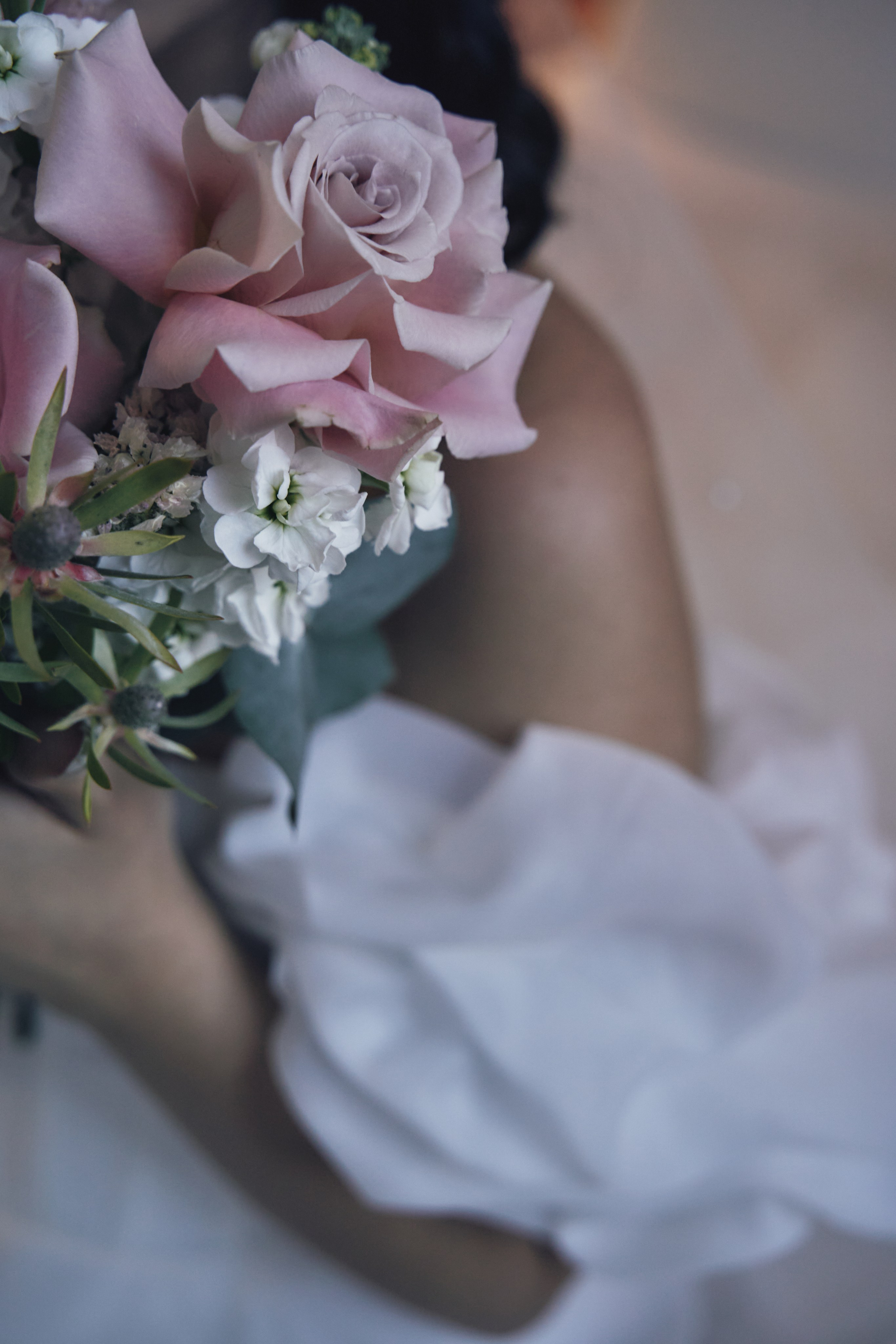 Утро невесты, София. Главная