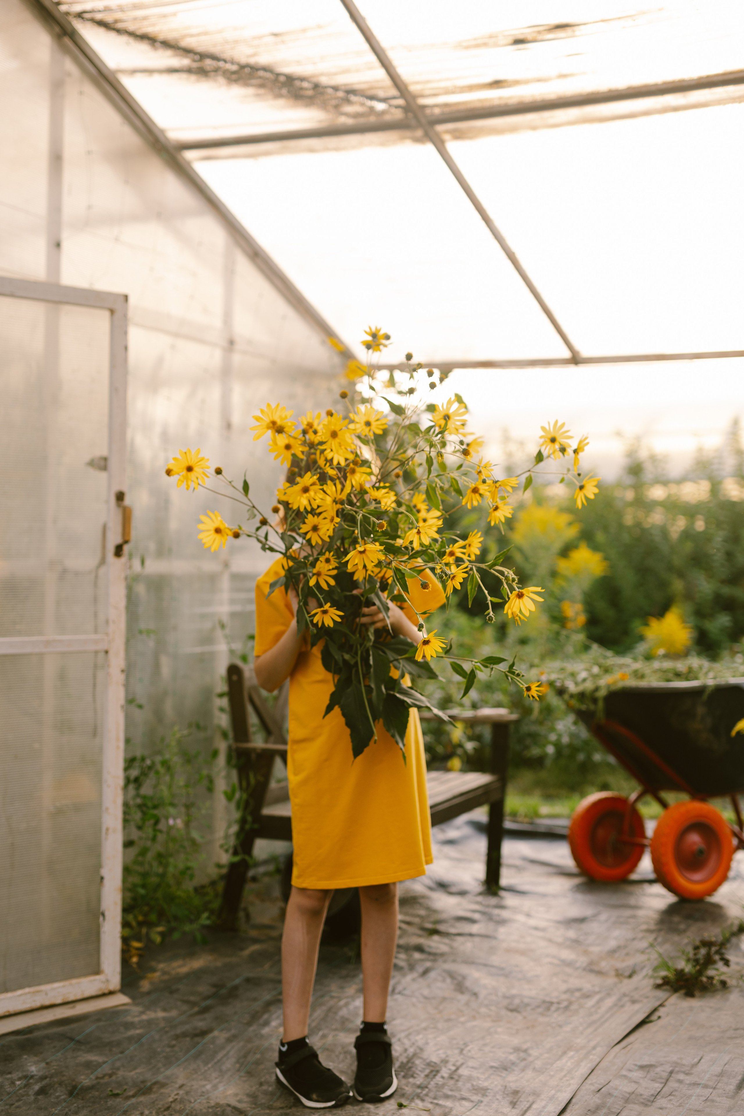 Пряный август. Варвара Синицына: семейный фотограф в Москве