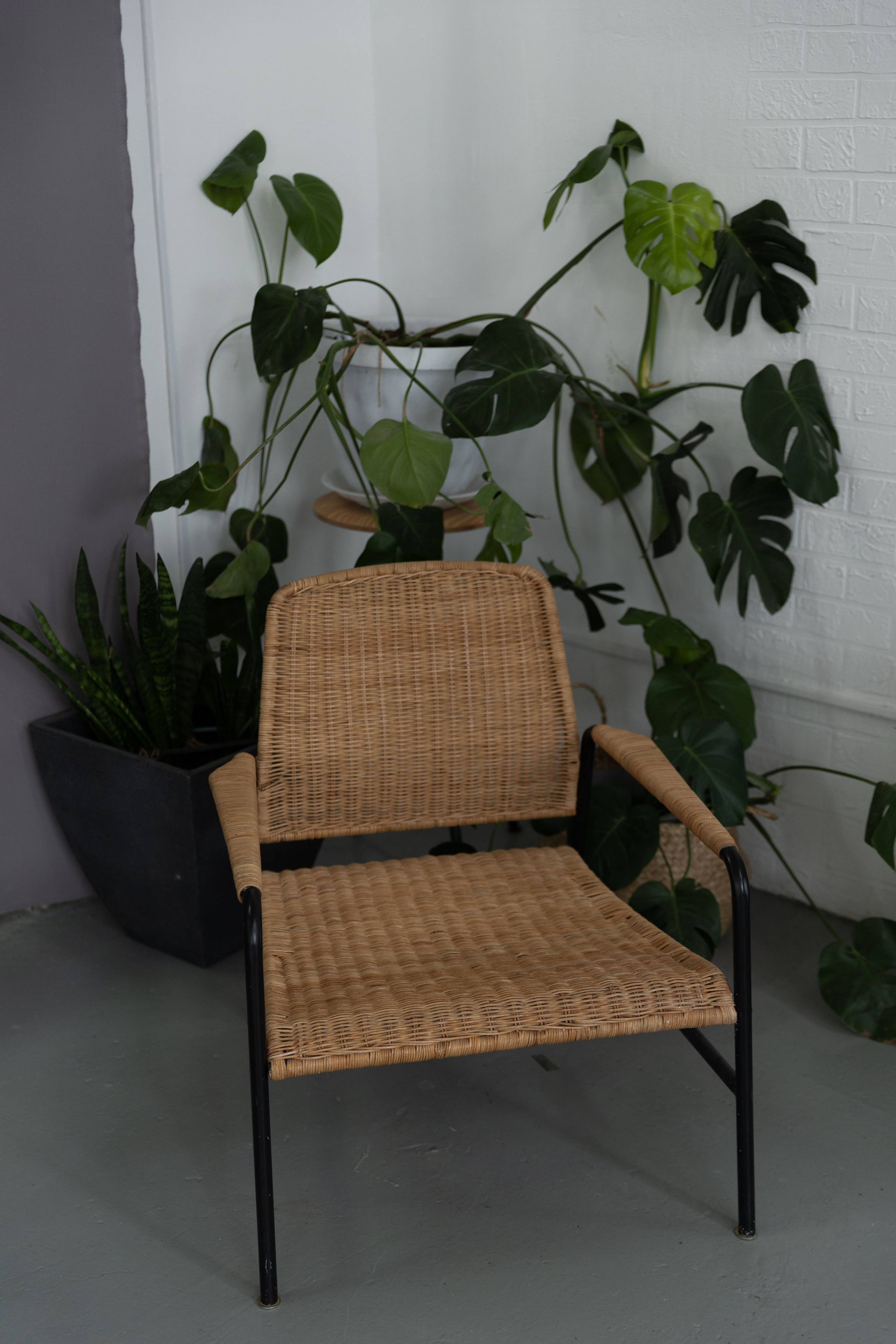 White зал. Фотограф в Новороссийске