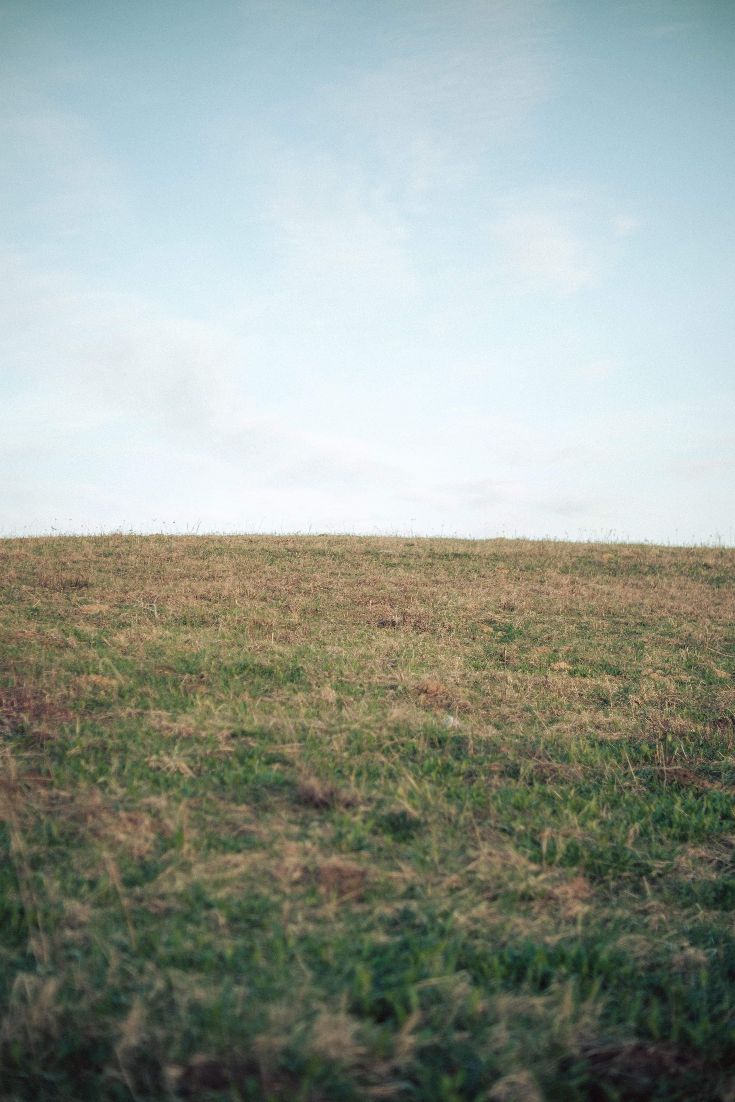 Андрей. Съёмка в поле. Lickord