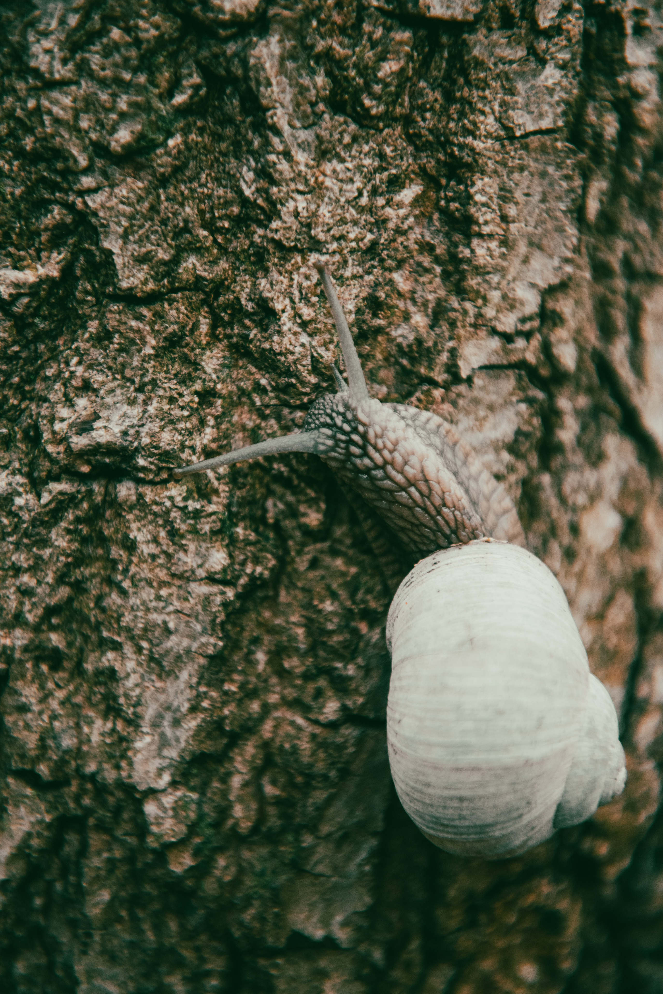 Текстуры апреля. Портретный и архитектурный фотограф в Москве и Санкт-Петербурге