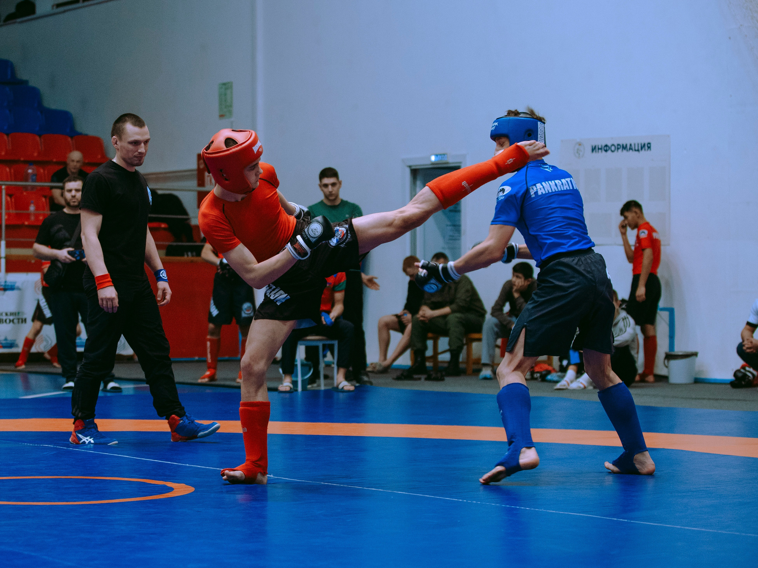 ПАНКРАТИОН | Чемпионат и первенство СФО | март `24. Портретный фотограф в Москве Дарья Цезария