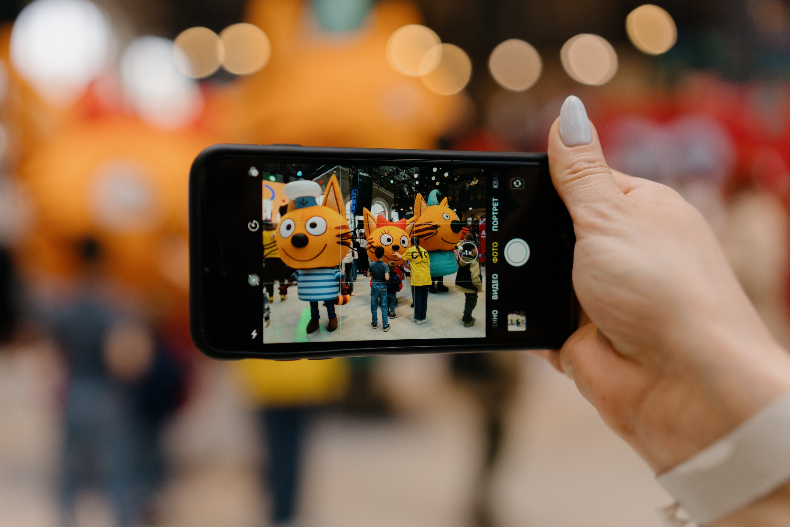 Три кота на «Каникулы с Комсомолкой» 04.05.24. Свадебный и семейный фотограф в Санкт-Петербурге Дмитрий Панин