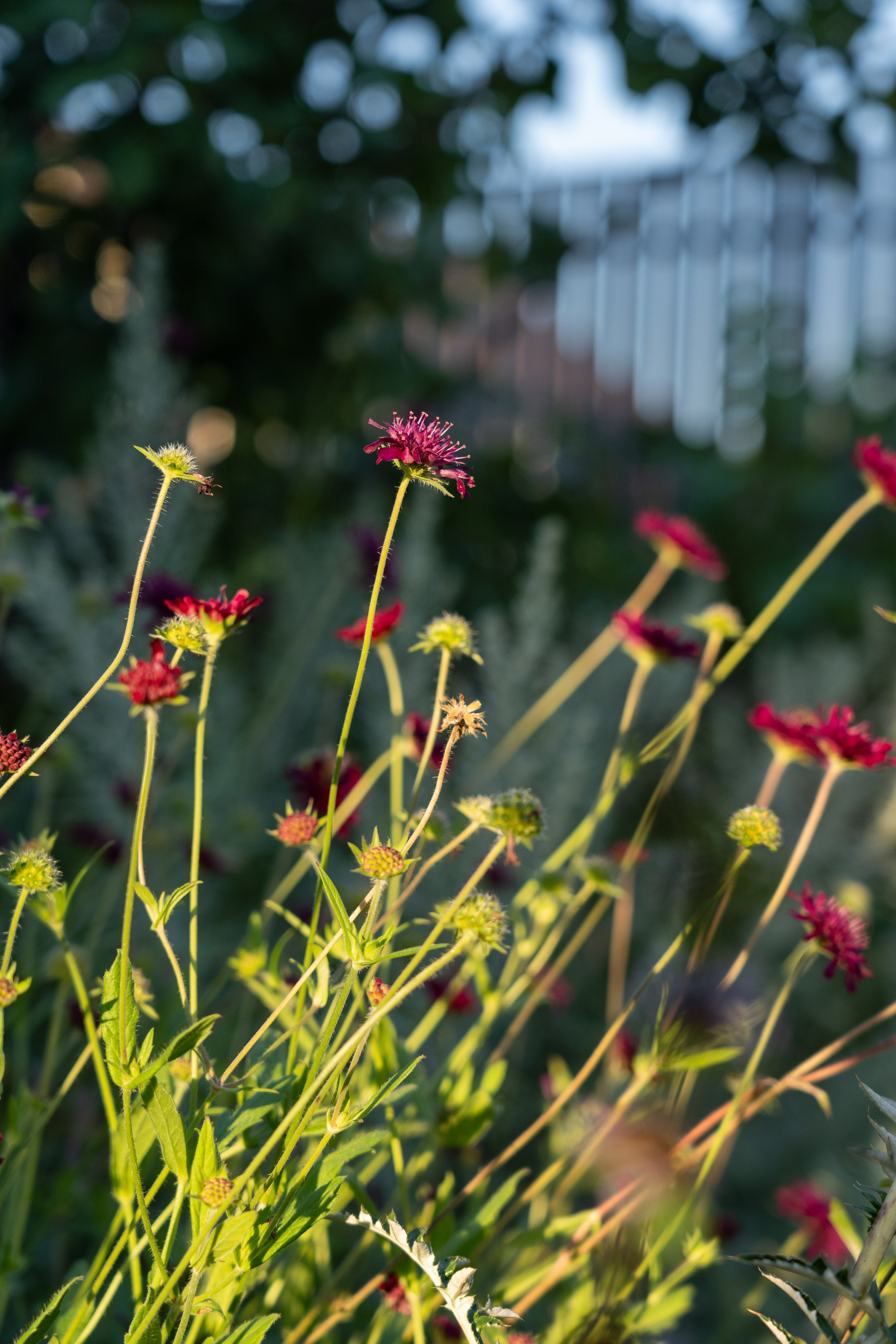 Framed landscape. Артамонов Александр | Архитектурный и ландшафтный фотограф