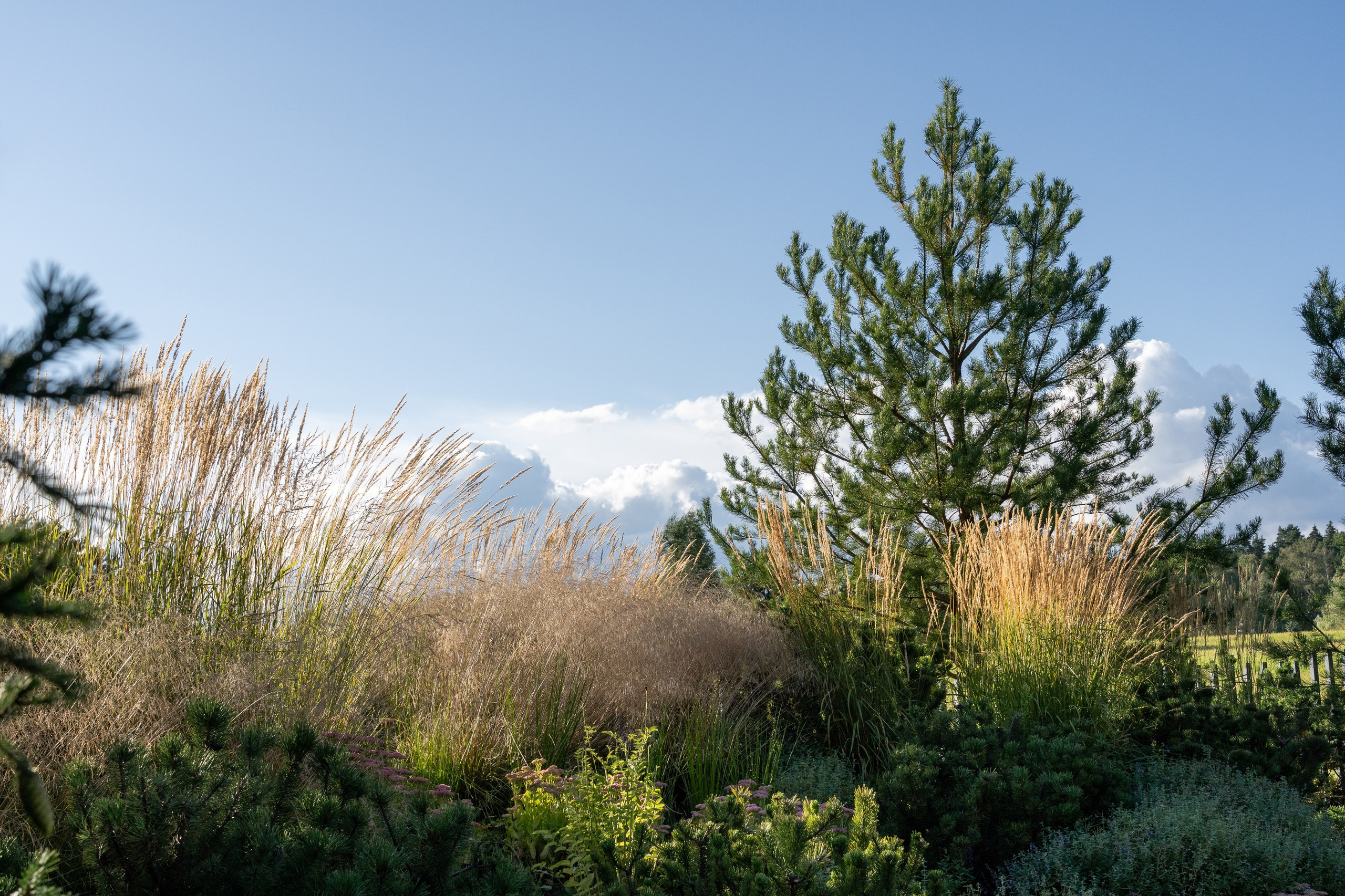 Private house, Moscow region. Артамонов Александр | Архитектурный и ландшафтный фотограф