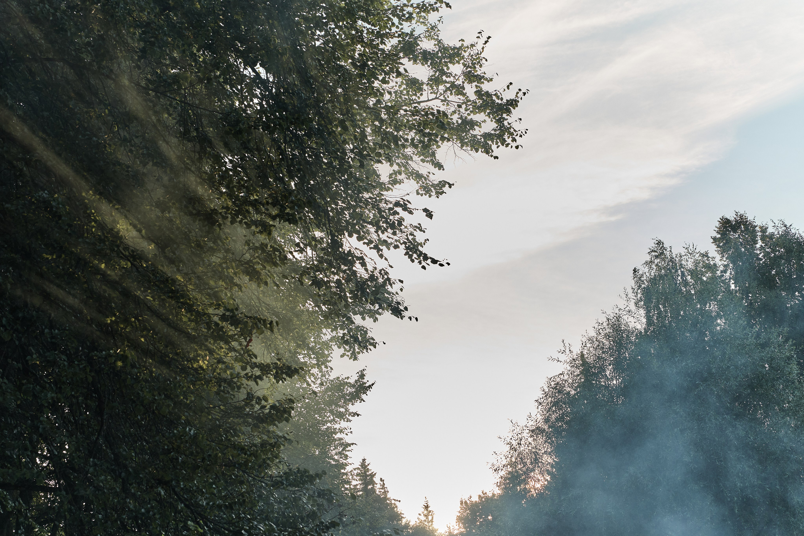 Andrei & Alexsandra. Kharchenkotatianaweddingphoto